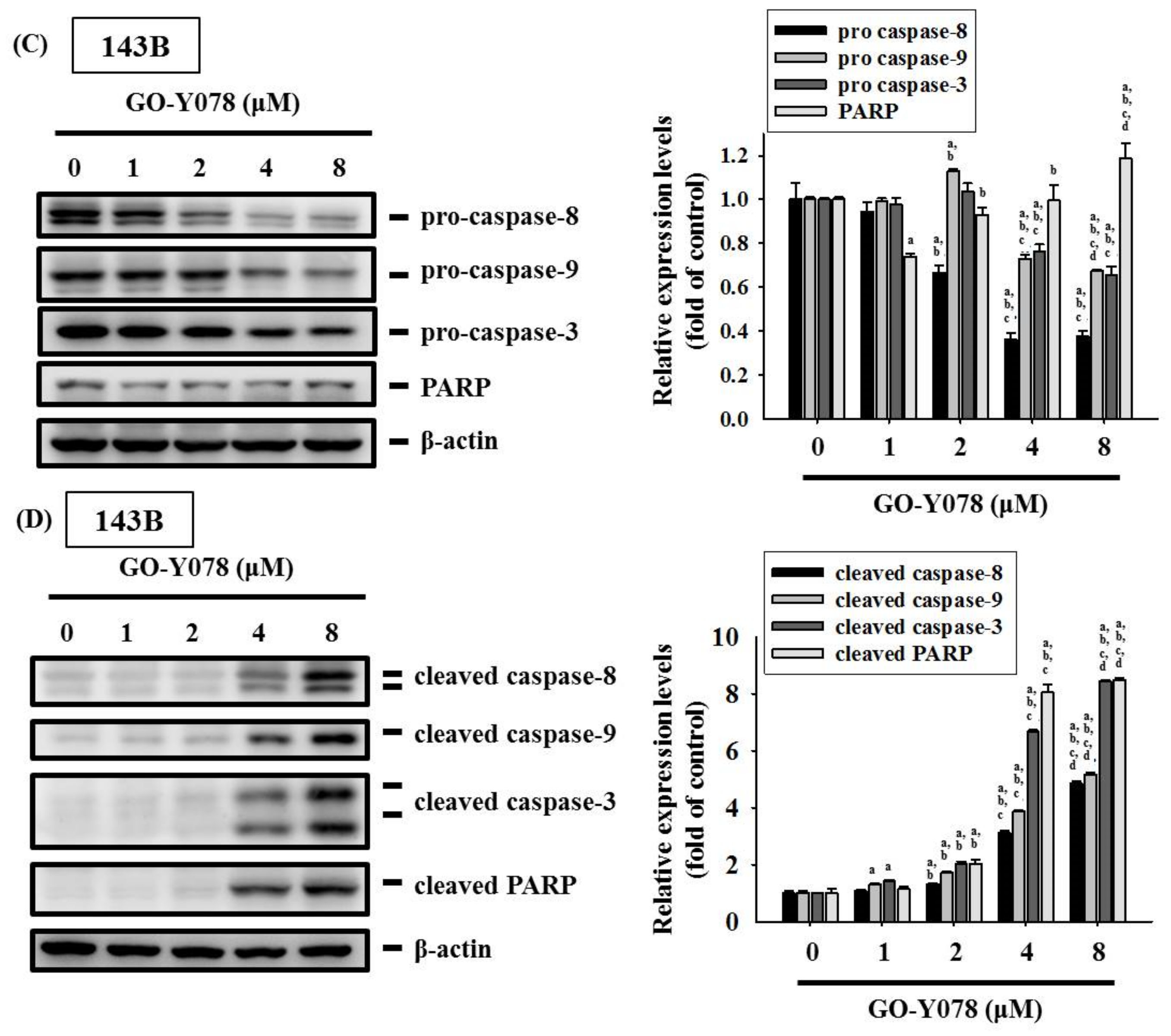 Pharmaceuticals 14 00497 g005b