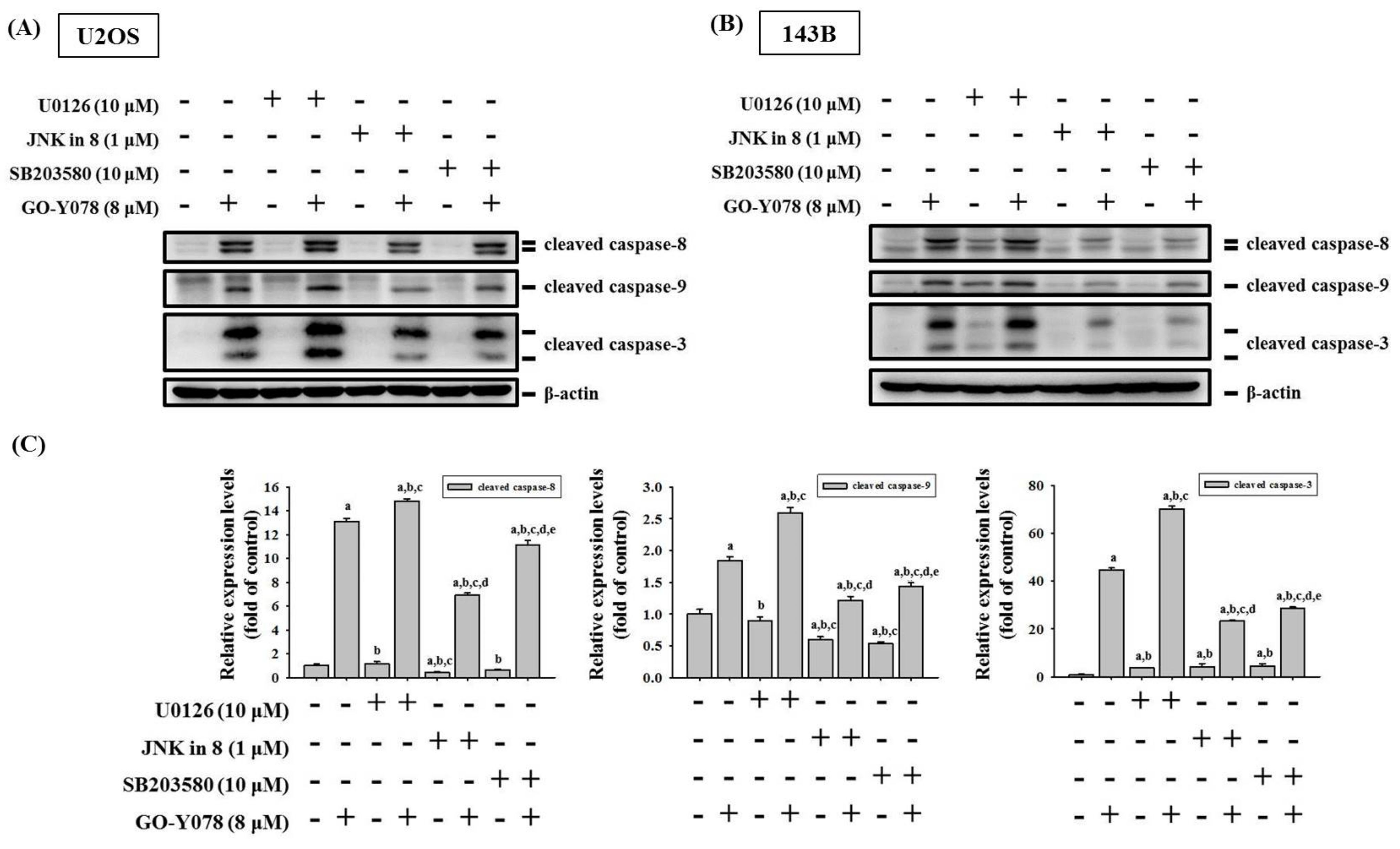 Pharmaceuticals 14 00497 g007a