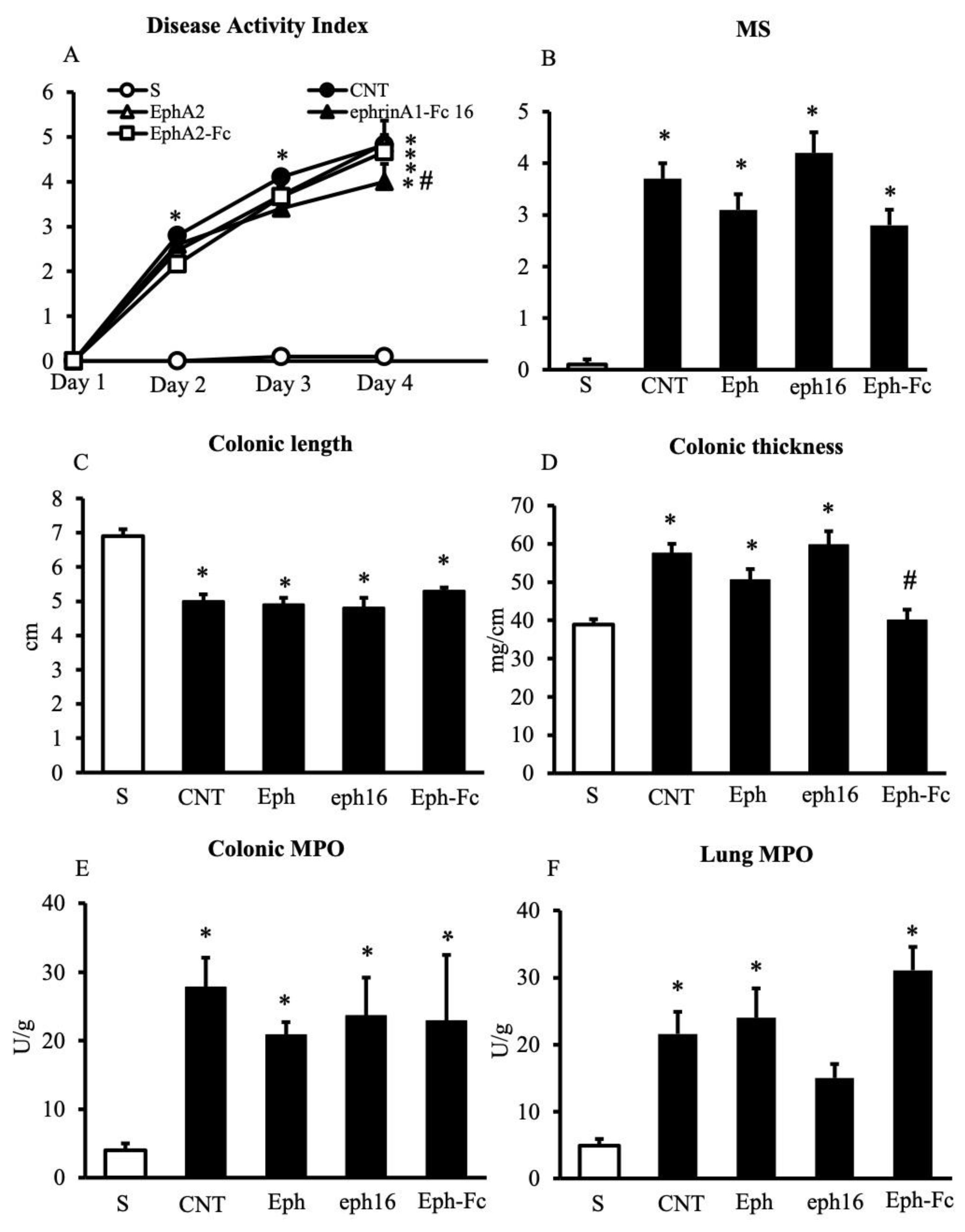 Pharmaceuticals 14 00502 g008
