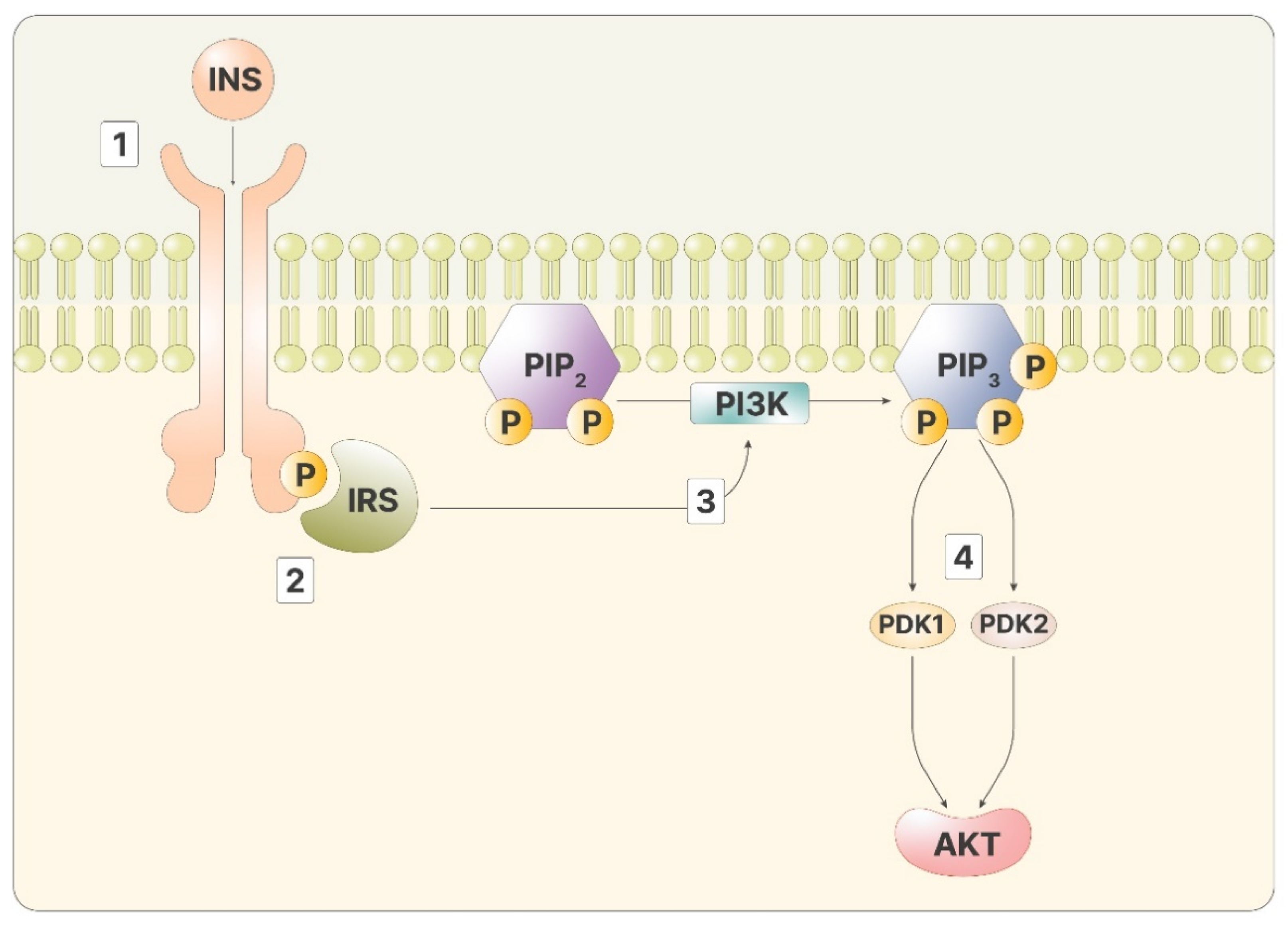 Pharmaceuticals 14 00504 g001 Pharmaceuticals 14 00504 g001