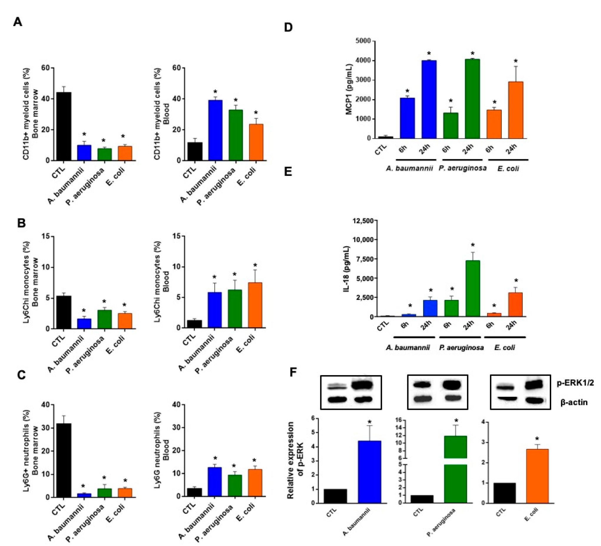 Pharmaceuticals 14 00507 g001 Pharmaceuticals 14 00507 g001