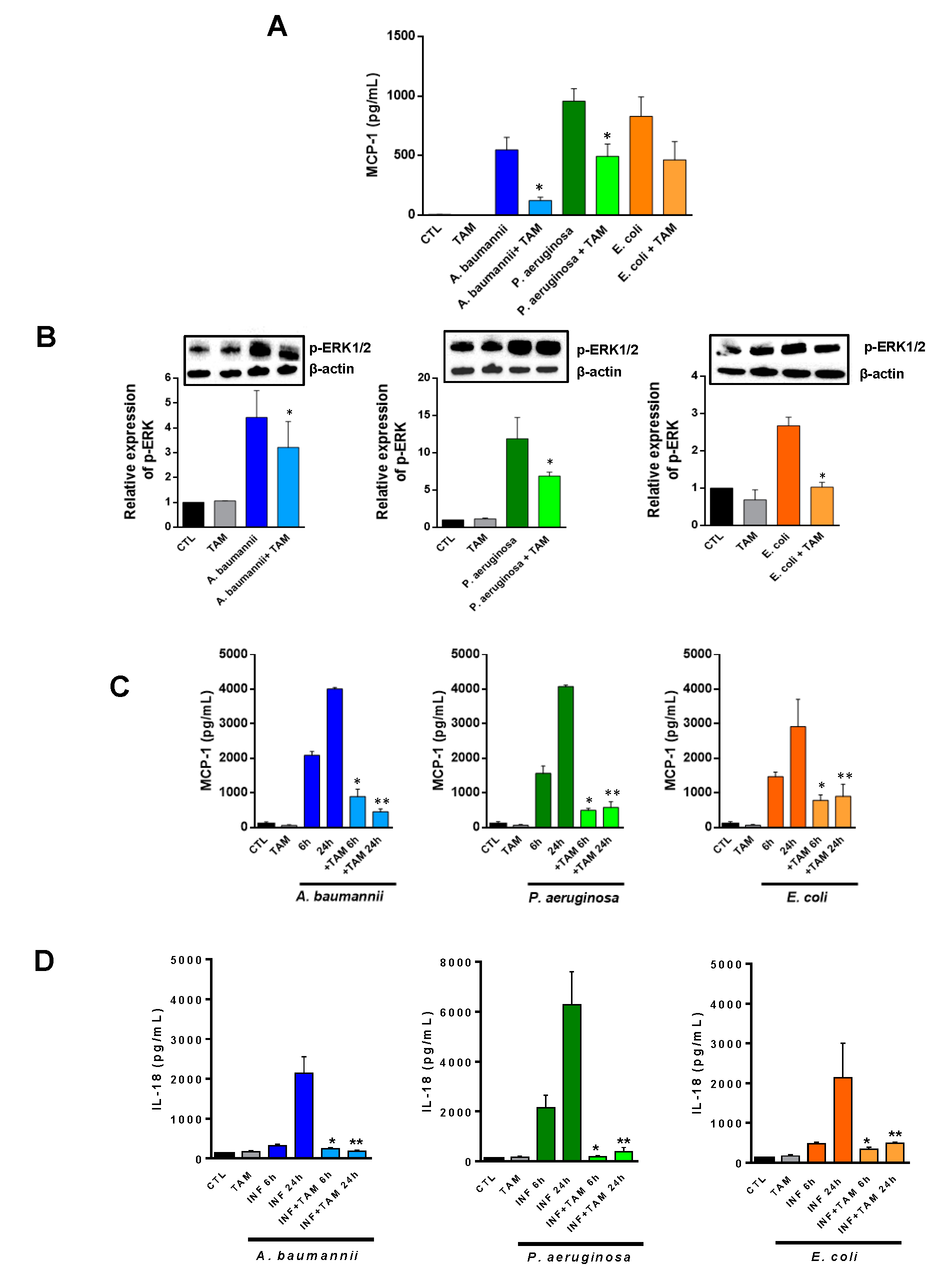 Pharmaceuticals 14 00507 g003 Pharmaceuticals 14 00507 g003
