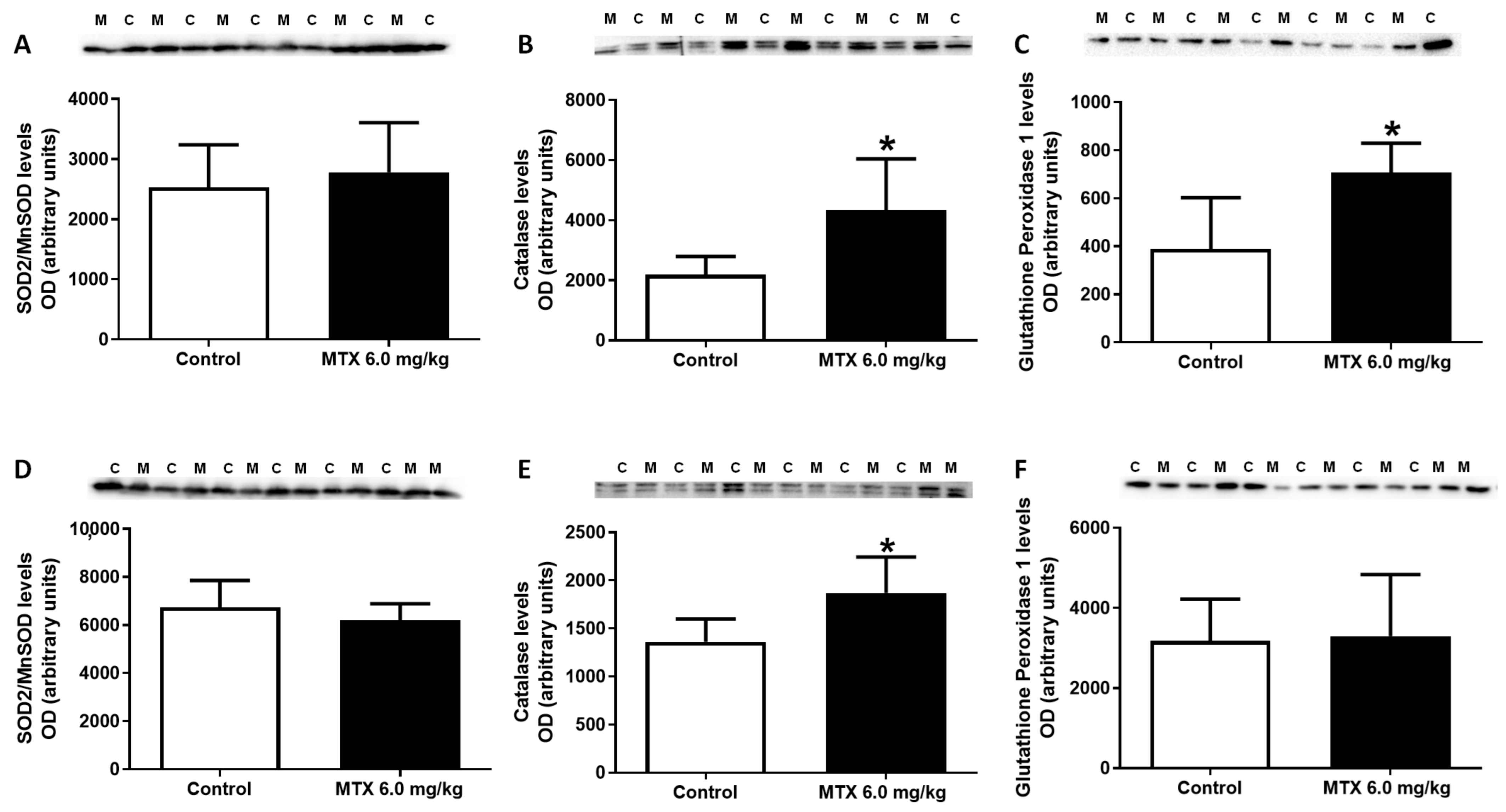 Pharmaceuticals 14 00510 g007