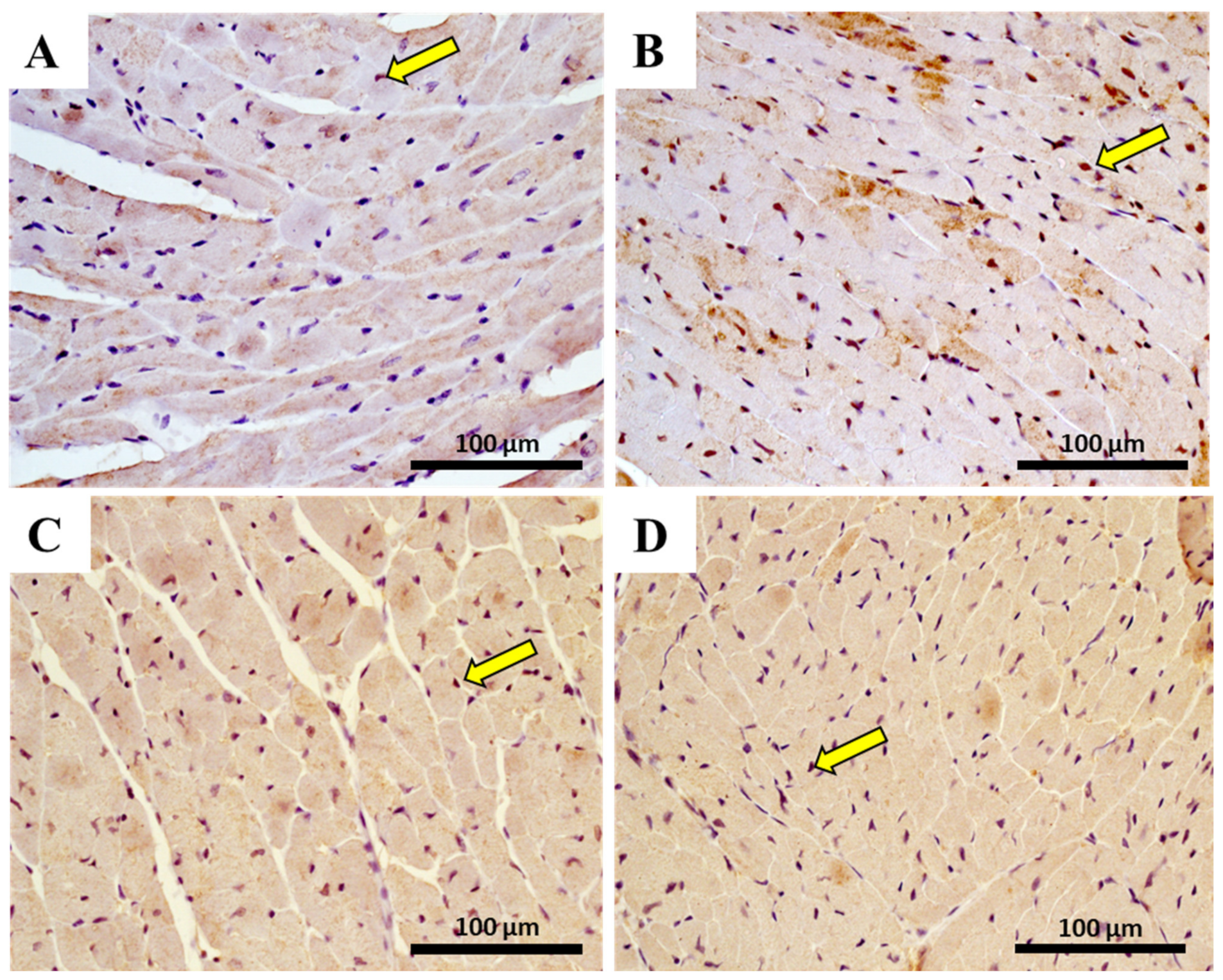Pharmaceuticals 14 00510 g008