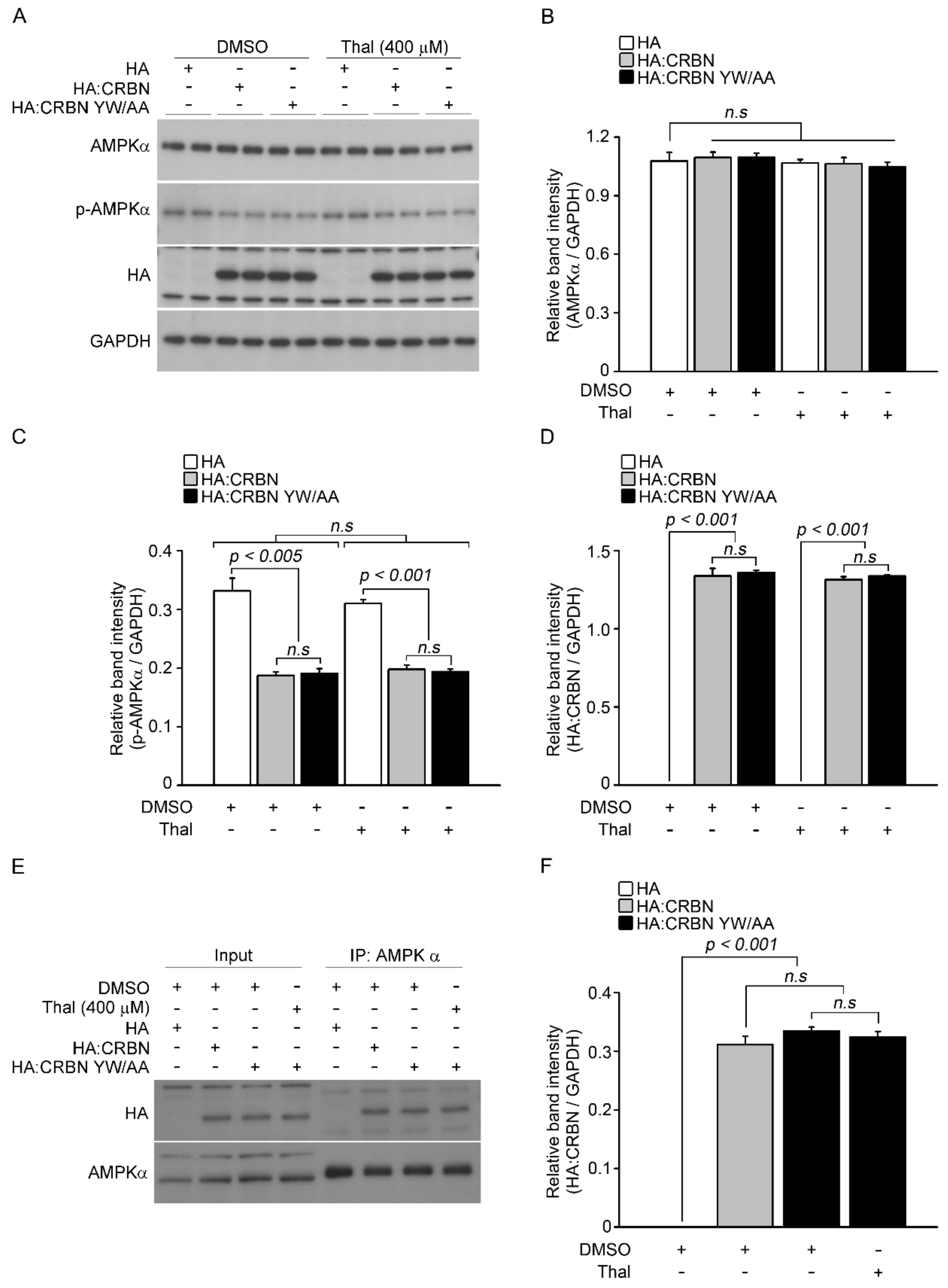 Pharmaceuticals 14 00512 g002