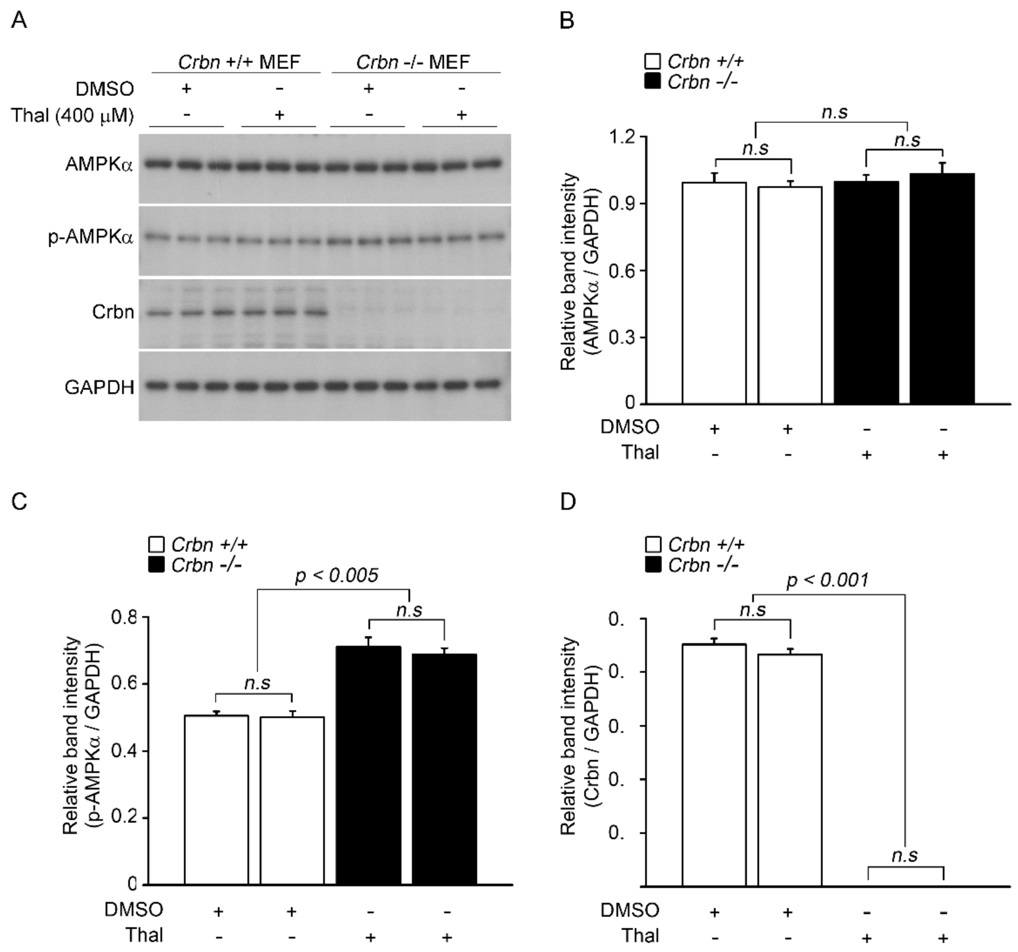 Pharmaceuticals 14 00512 g003