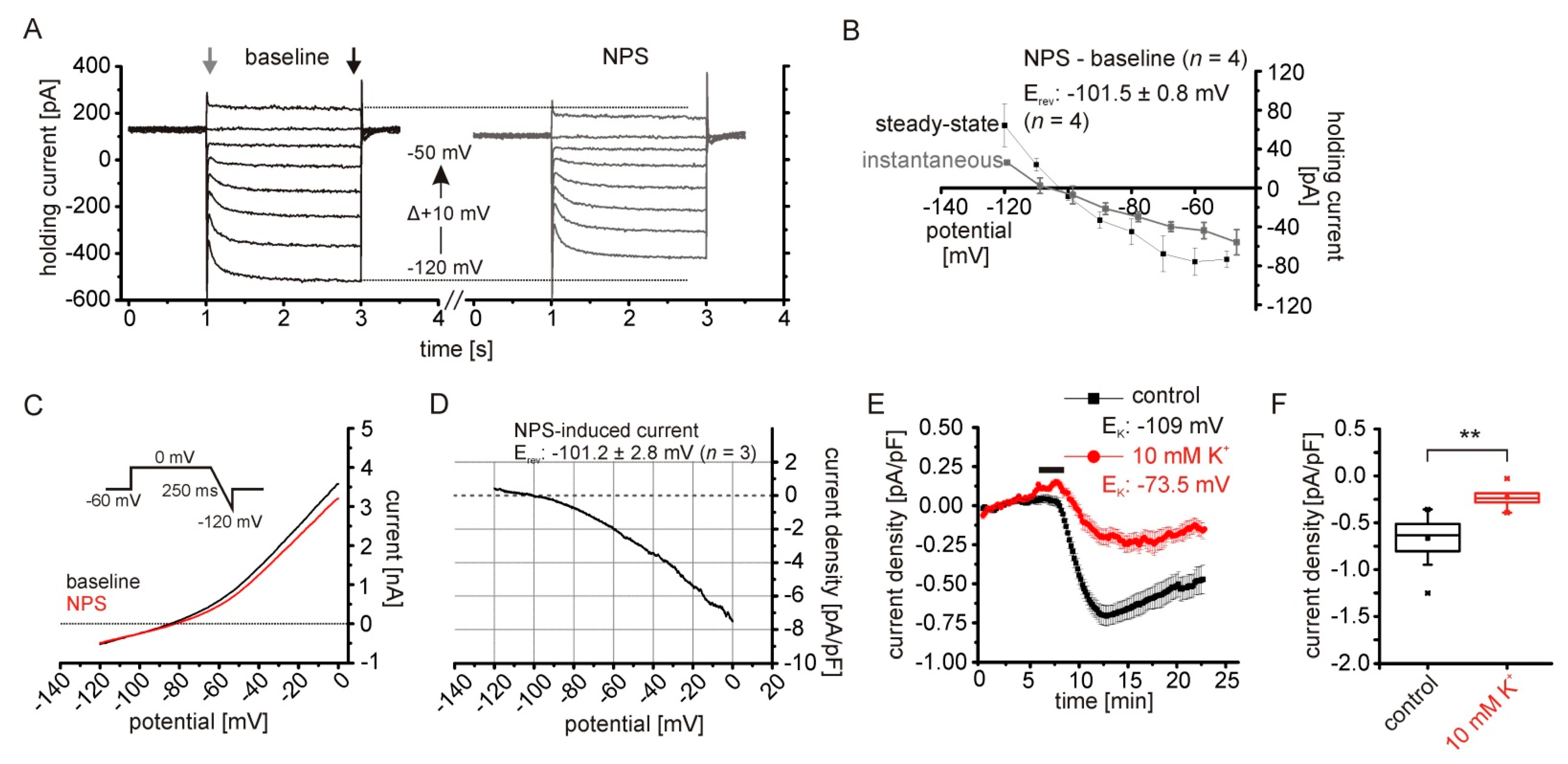 Pharmaceuticals 14 00519 g002