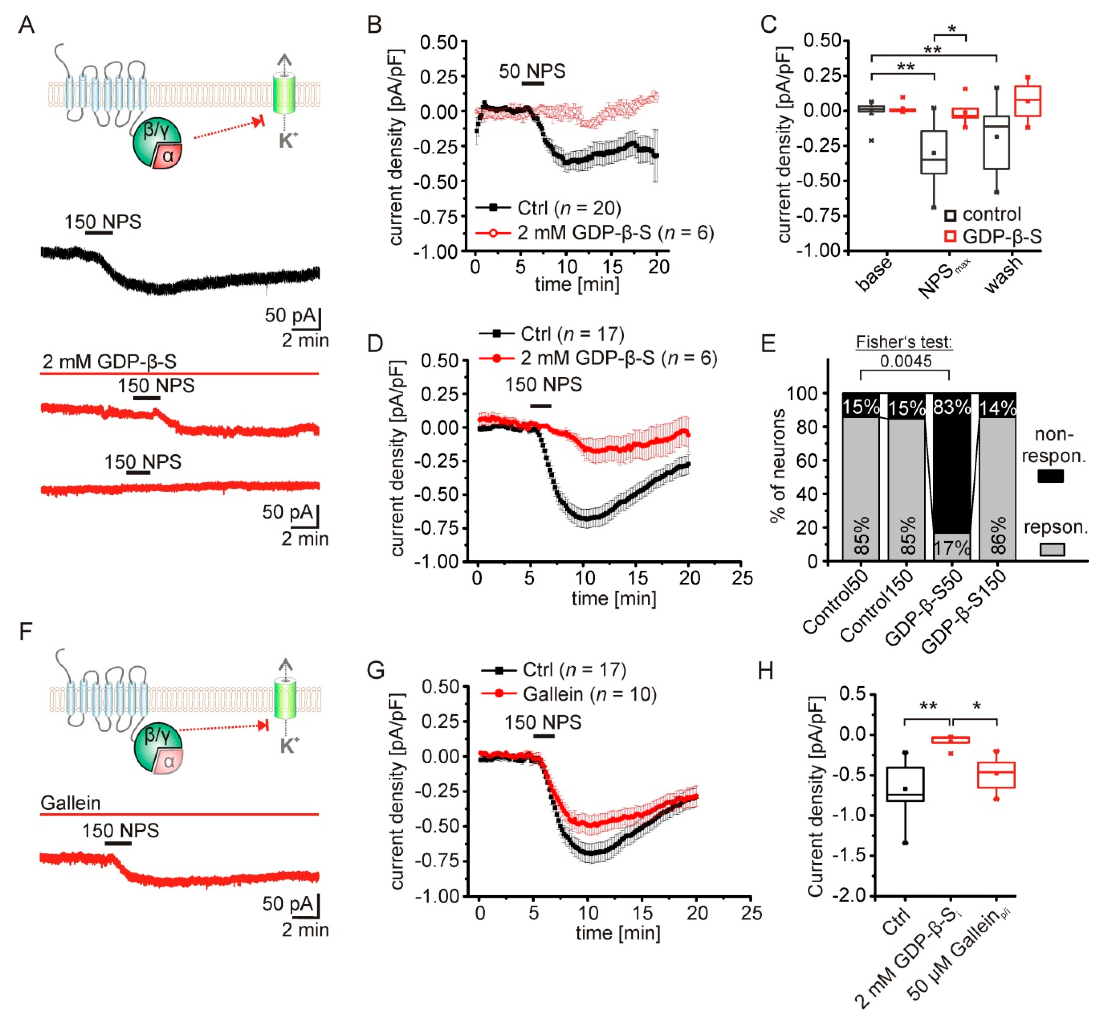 Pharmaceuticals 14 00519 g003