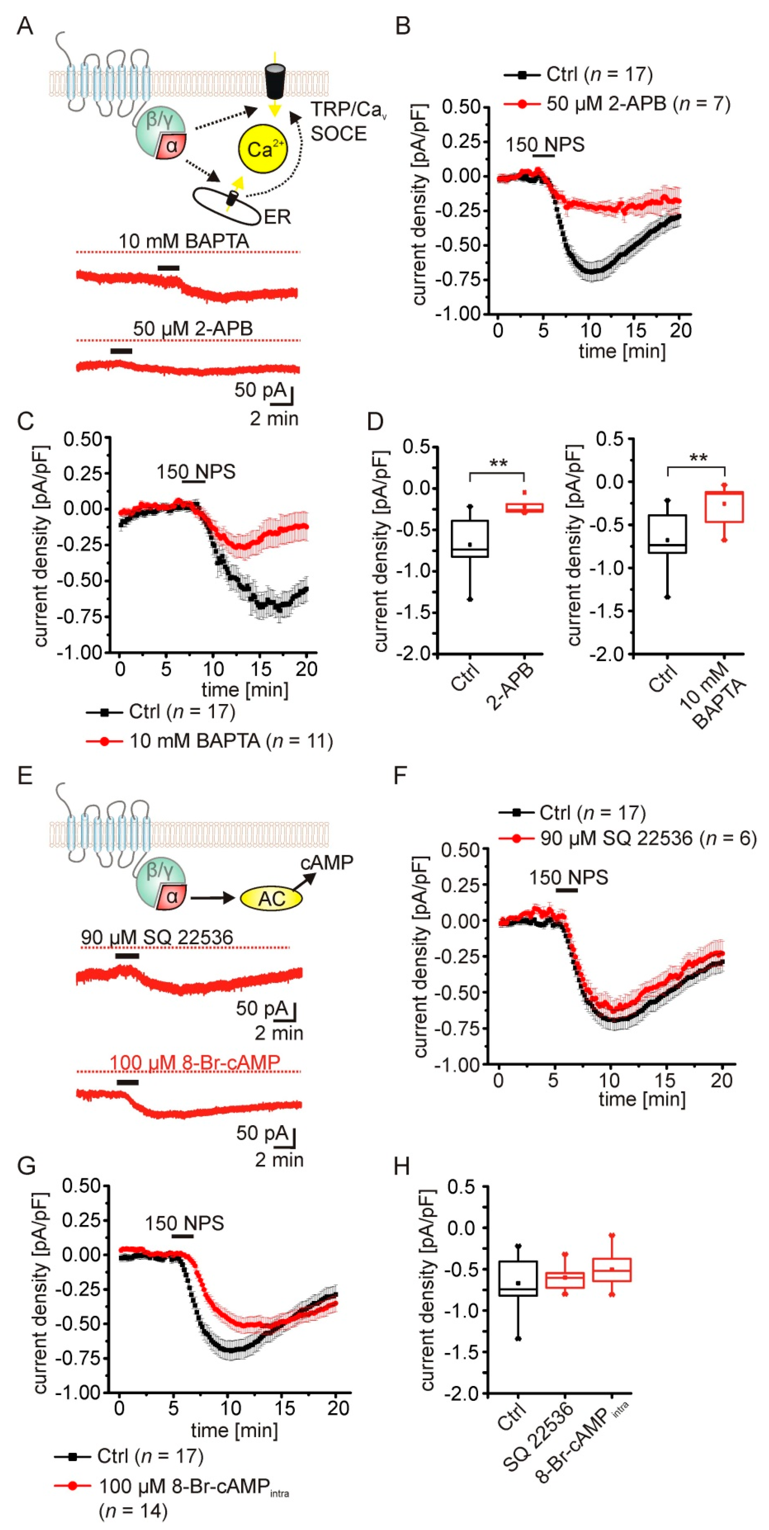 Pharmaceuticals 14 00519 g004