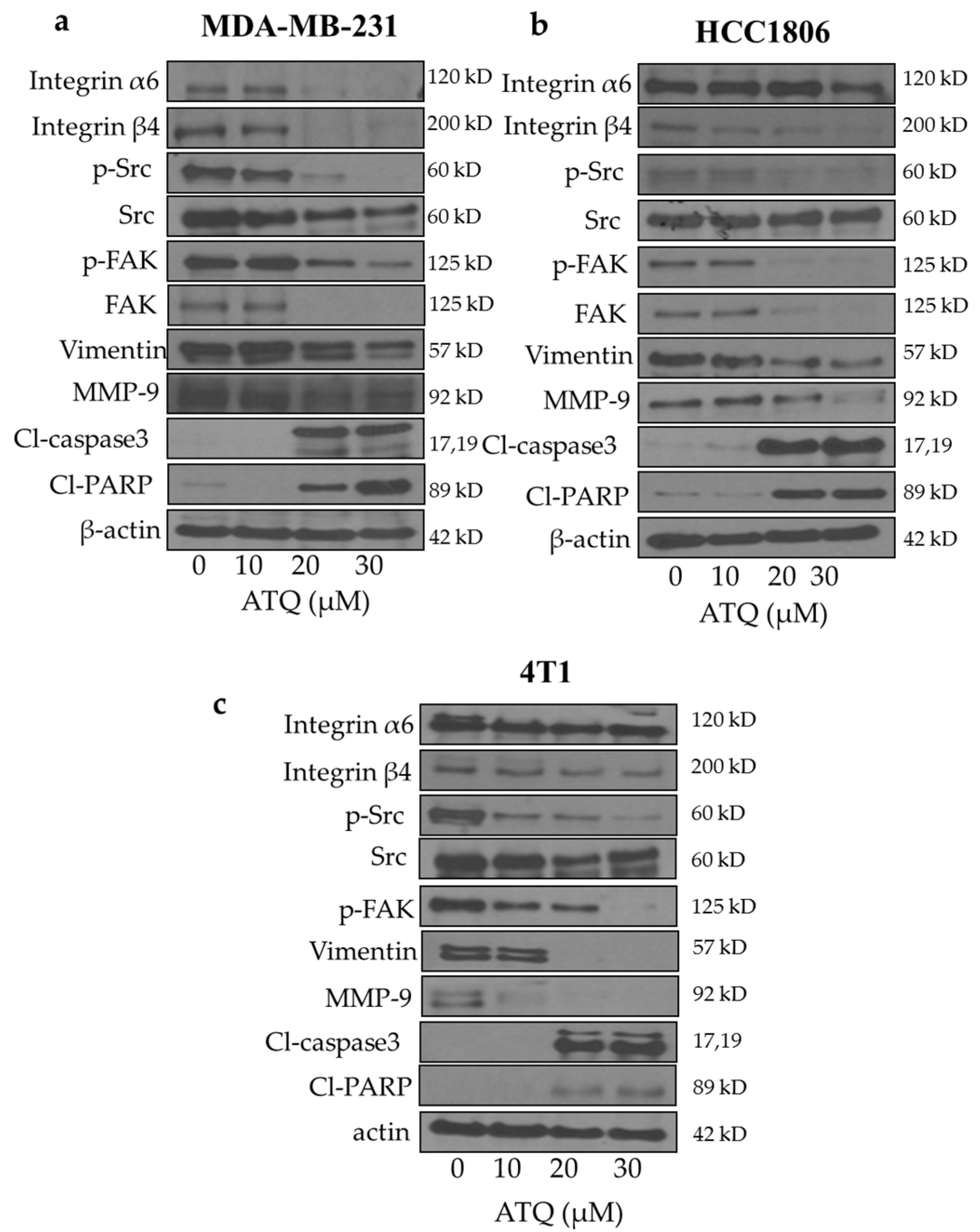 Pharmaceuticals 14 00521 g002