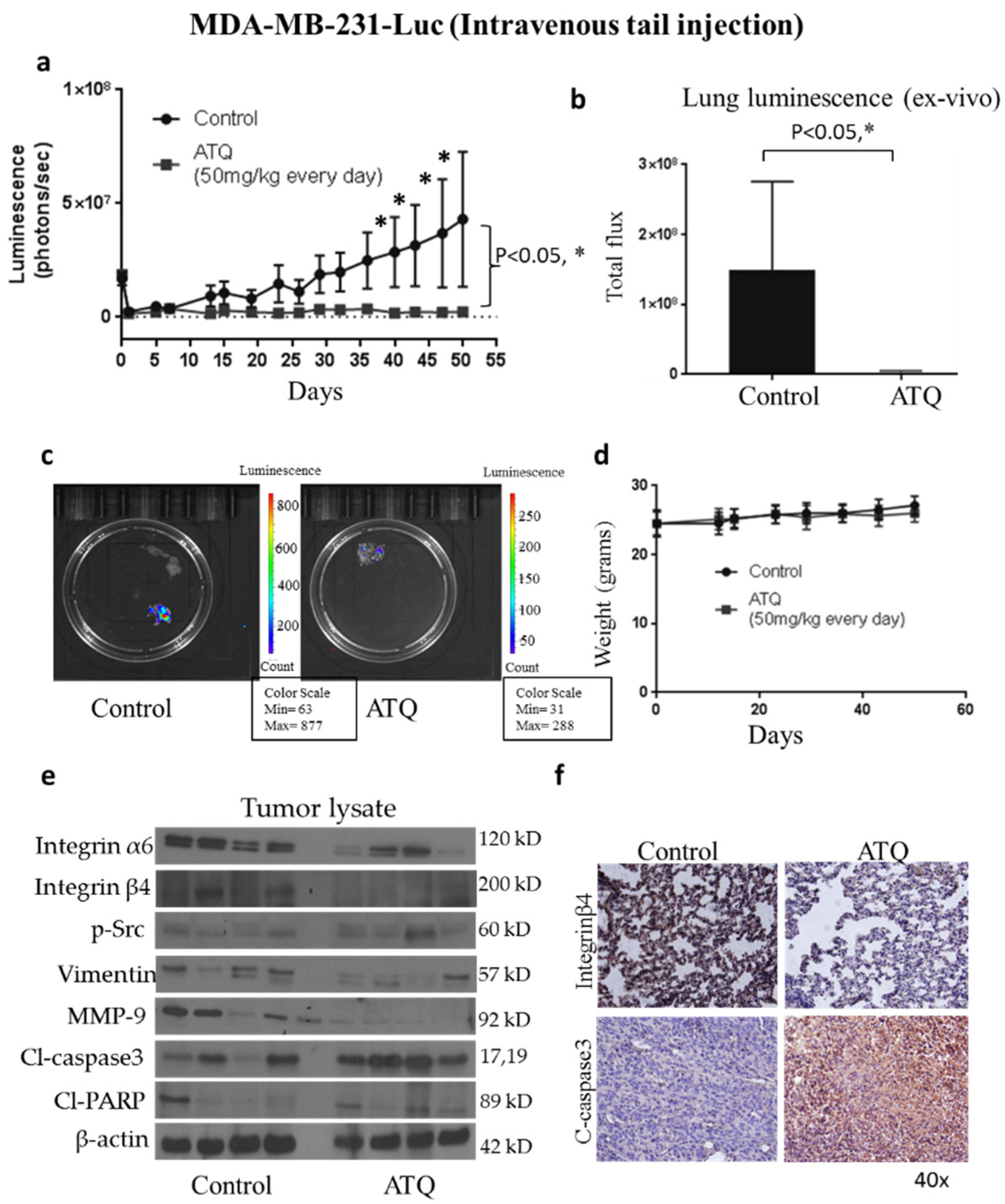 Pharmaceuticals 14 00521 g004