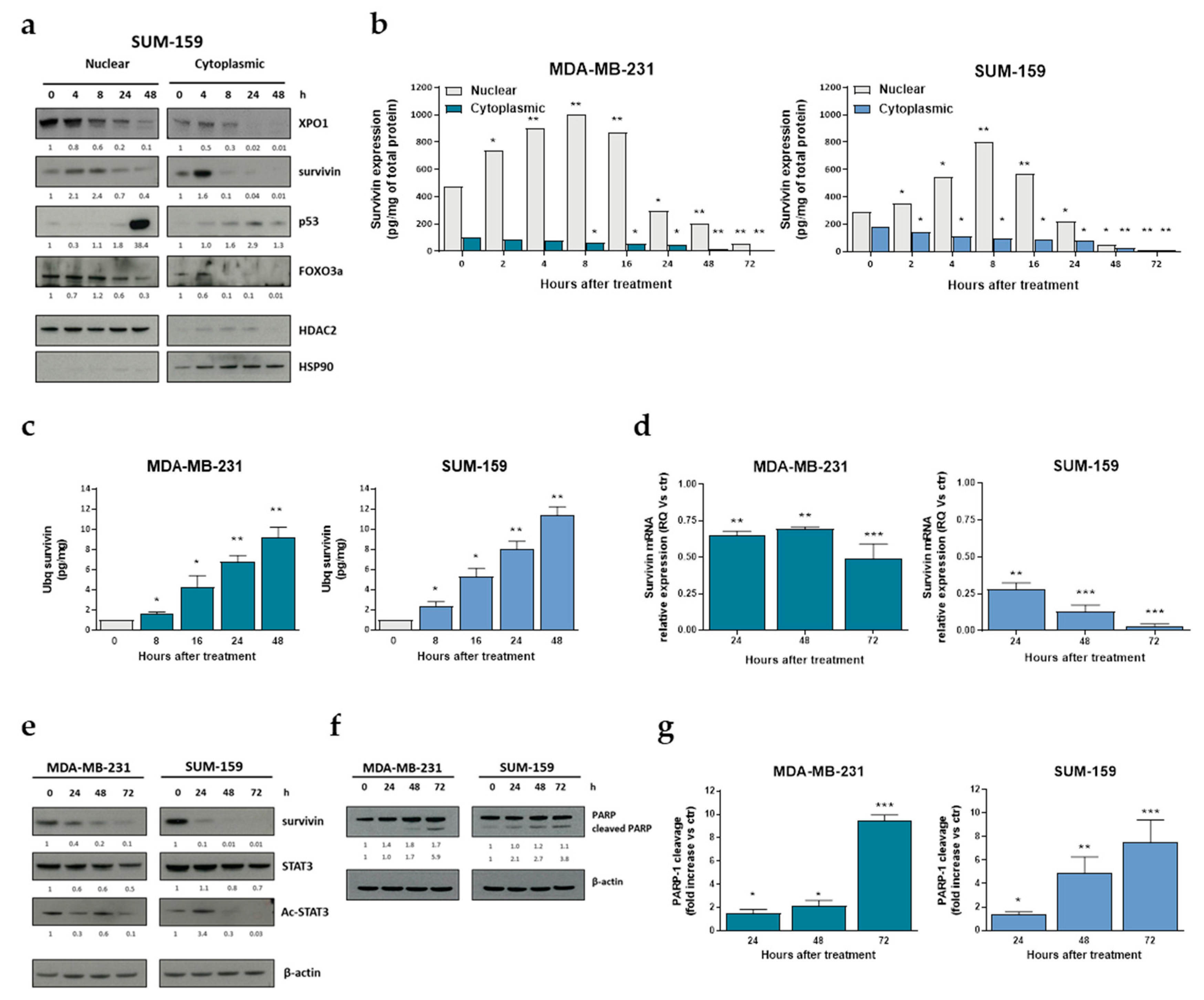 Pharmaceuticals 14 00523 g002 Pharmaceuticals 14 00523 g002