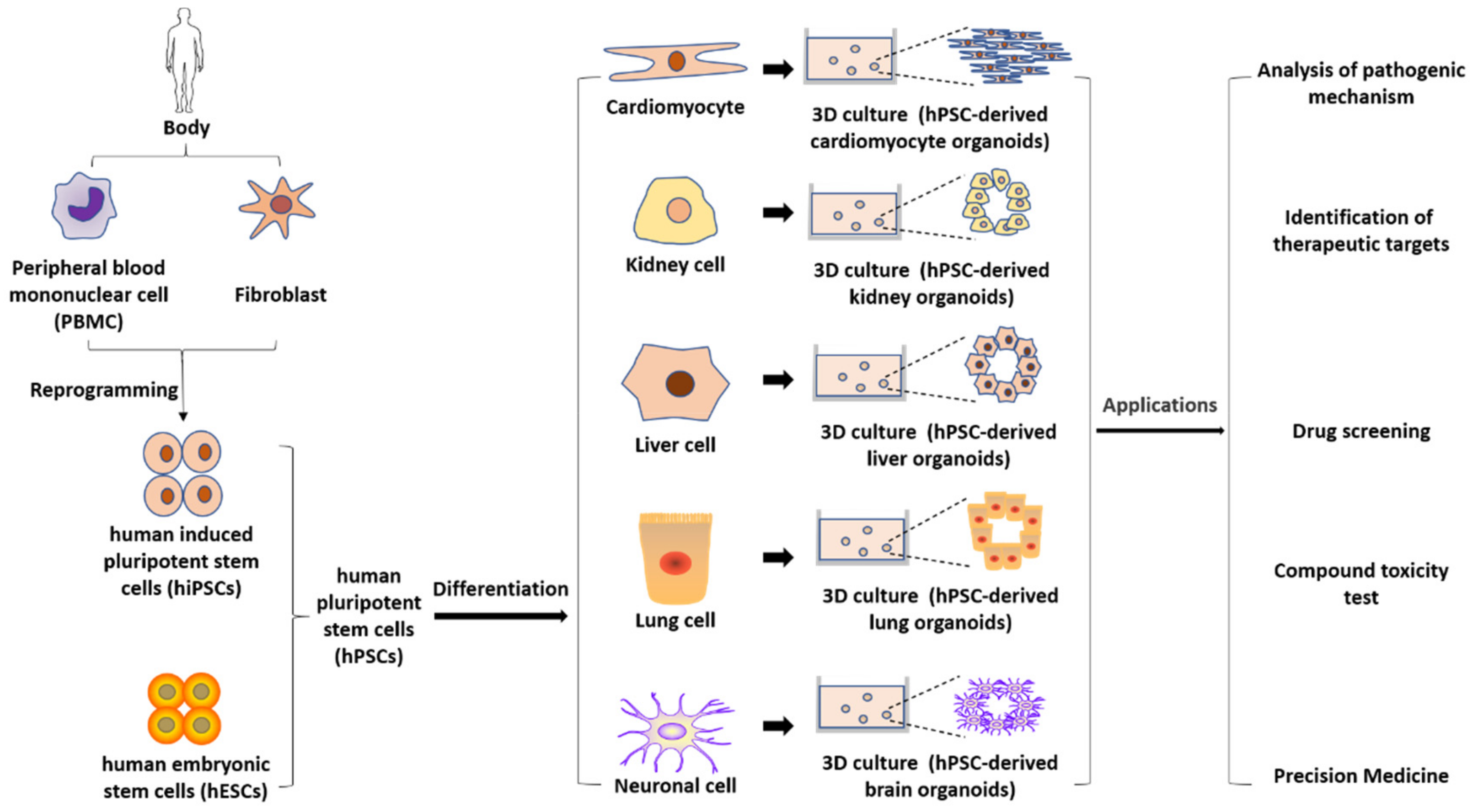 Pharmaceuticals 14 00525 g002 Pharmaceuticals 14 00525 g002