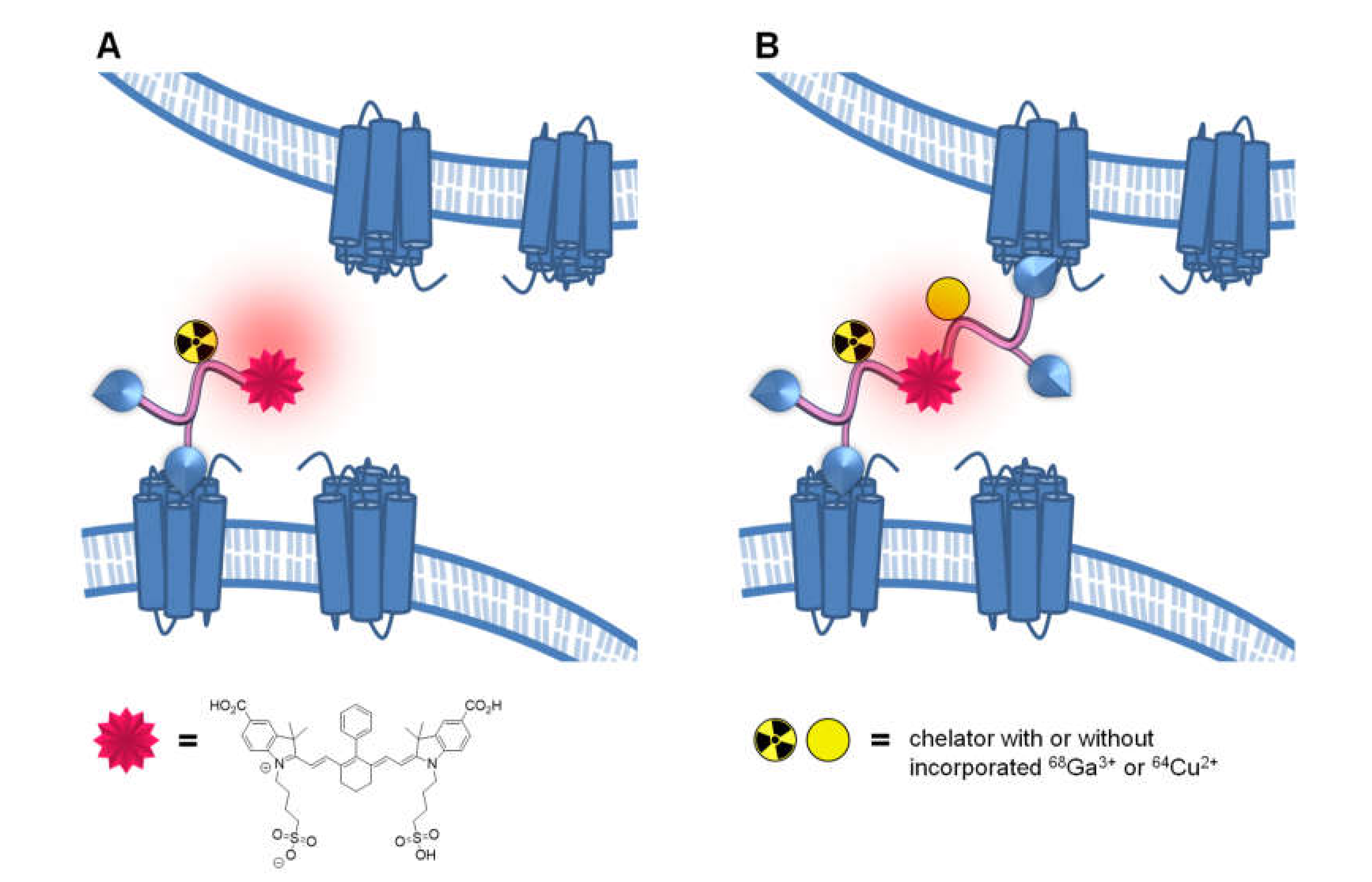 Pharmaceuticals 14 00531 g001 Pharmaceuticals 14 00531 g001