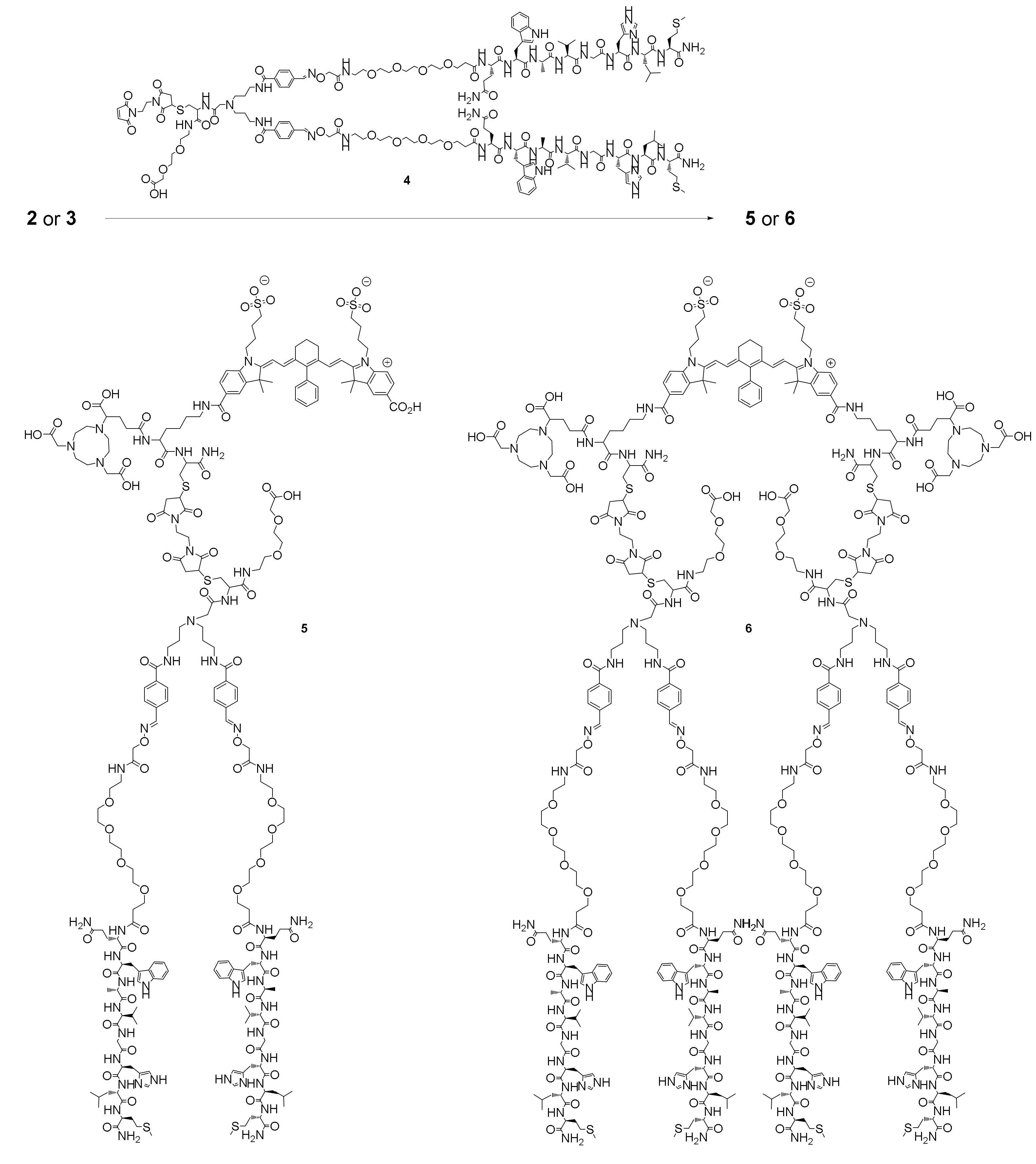 Pharmaceuticals 14 00531 sch003 Pharmaceuticals 14 00531 sch003
