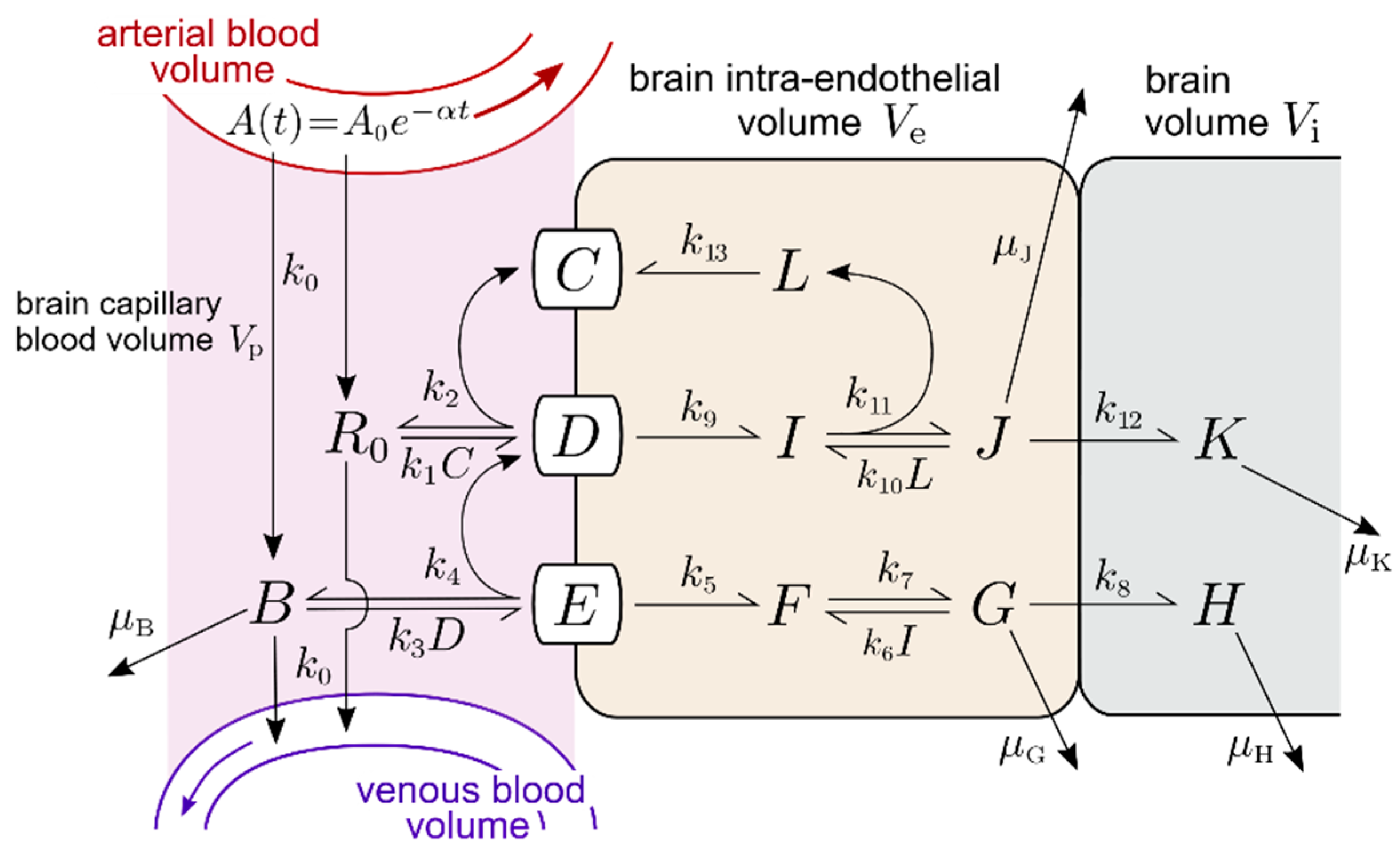 Pharmaceuticals 14 00535 g001 Pharmaceuticals 14 00535 g001