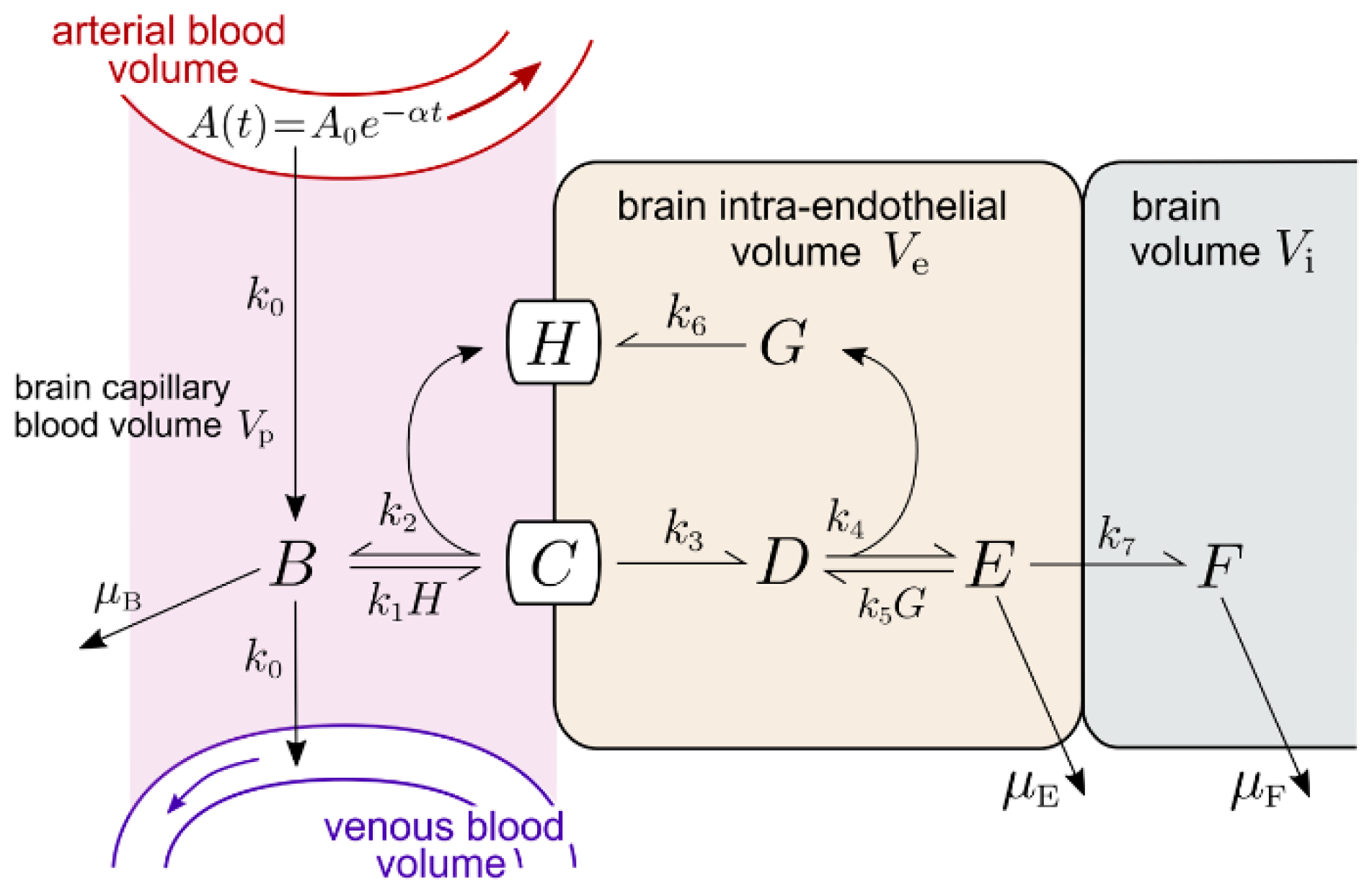Pharmaceuticals 14 00535 g005 Pharmaceuticals 14 00535 g005