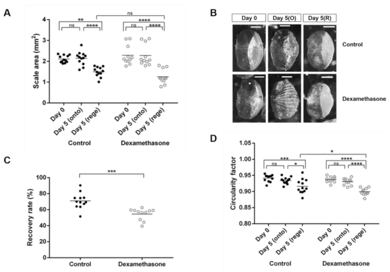 Pharmaceuticals 14 00536 g001