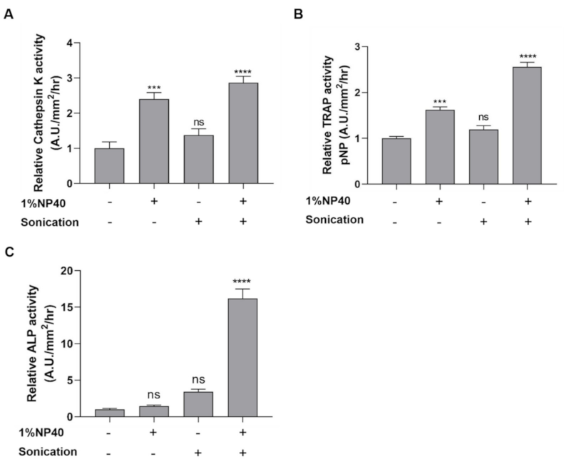 Pharmaceuticals 14 00536 g002