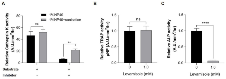 Pharmaceuticals 14 00536 g003