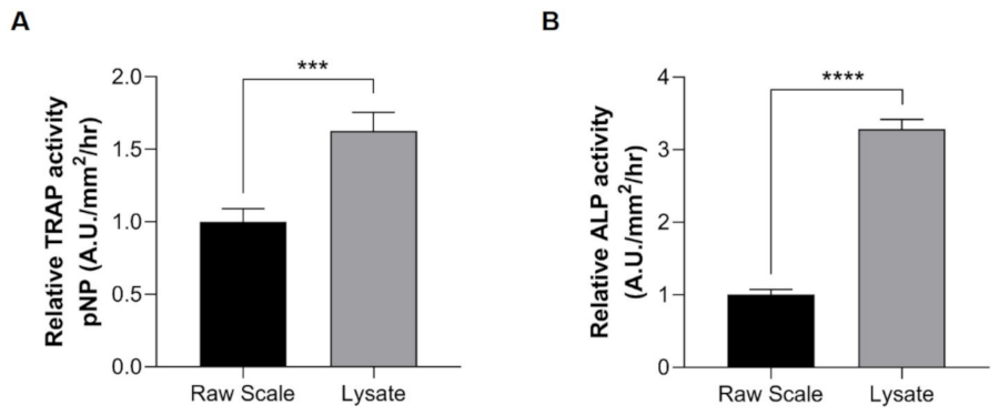 Pharmaceuticals 14 00536 g004