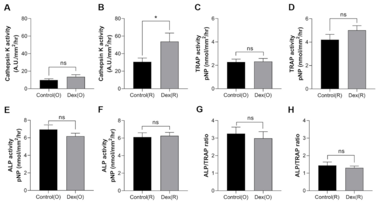 Pharmaceuticals 14 00536 g006