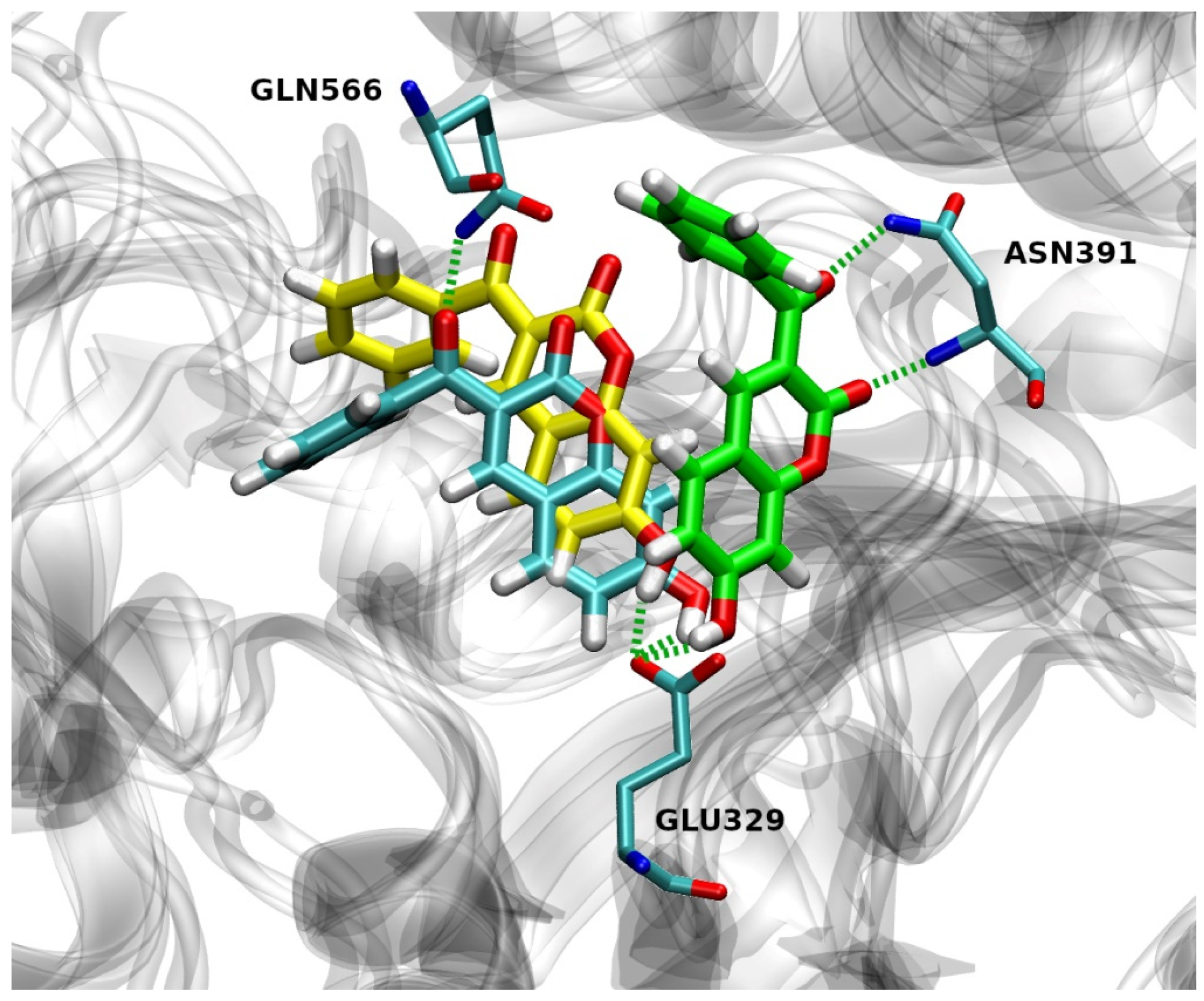 Pharmaceuticals 14 00540 g007 Pharmaceuticals 14 00540 g007
