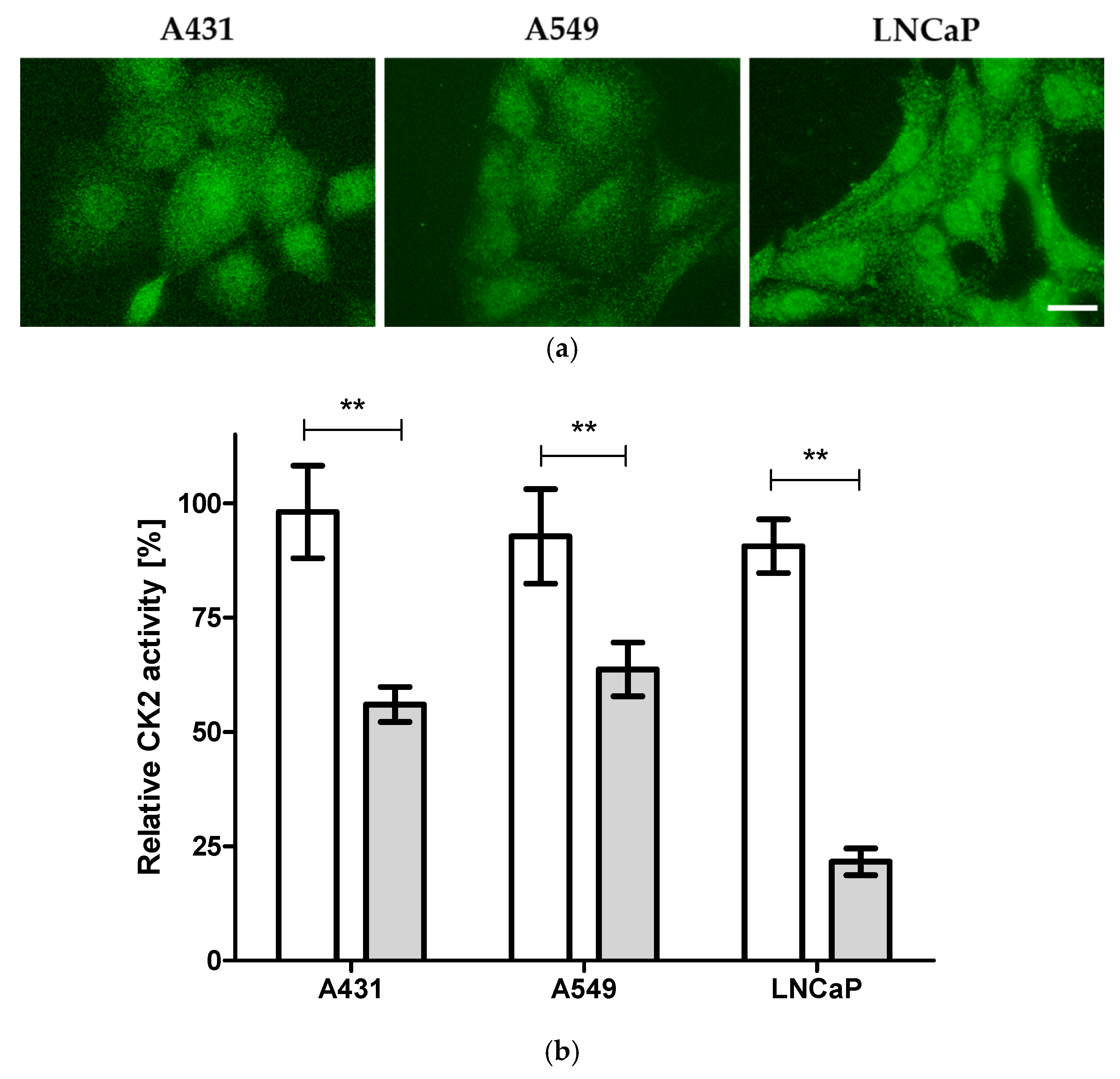 Pharmaceuticals 14 00542 g002 Pharmaceuticals 14 00542 g002