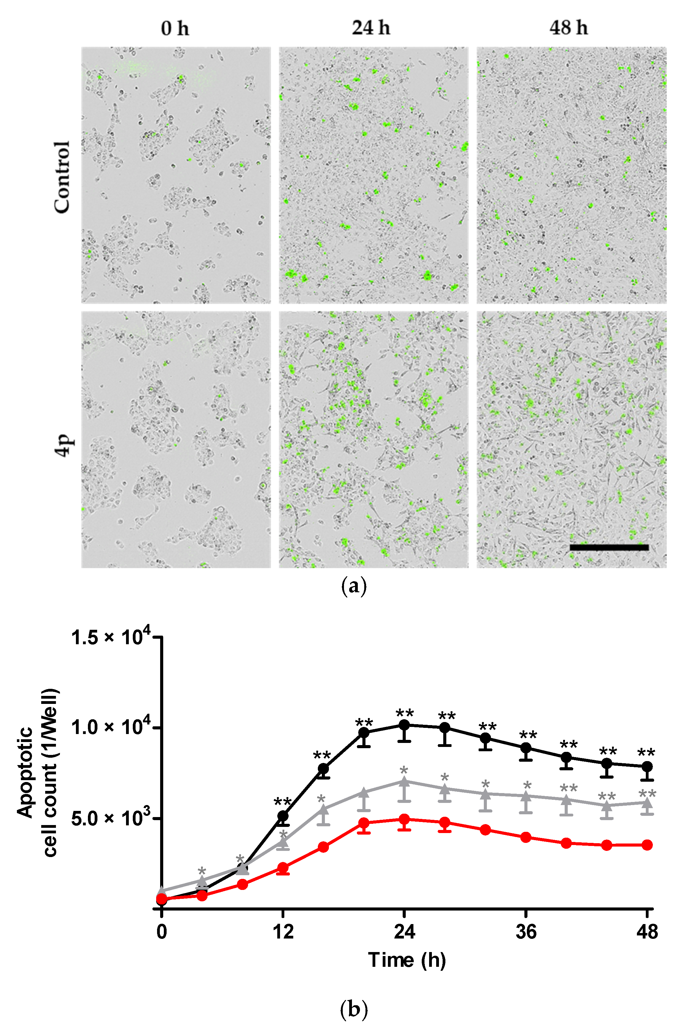 Pharmaceuticals 14 00542 g004 Pharmaceuticals 14 00542 g004