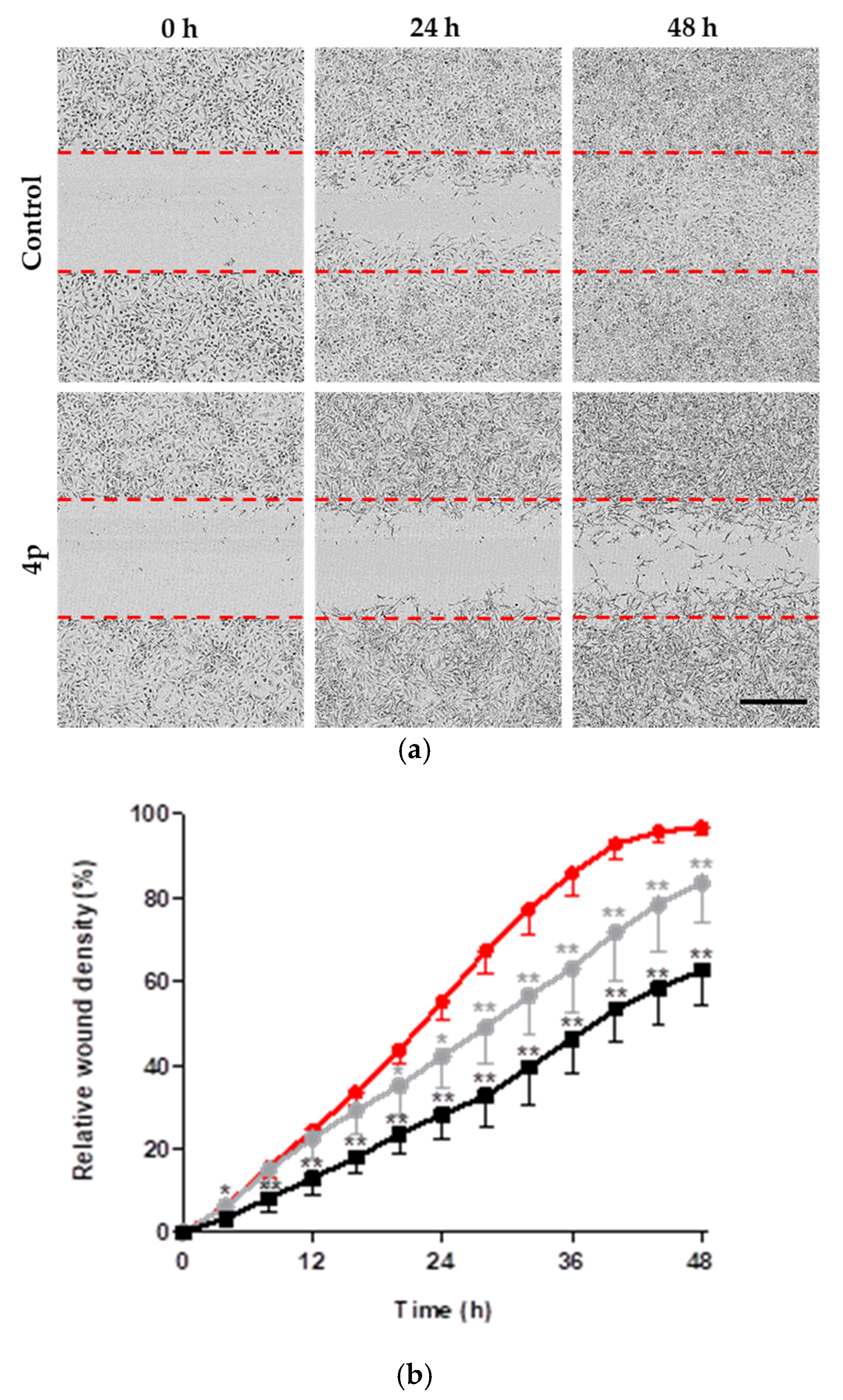 Pharmaceuticals 14 00542 g005 Pharmaceuticals 14 00542 g005