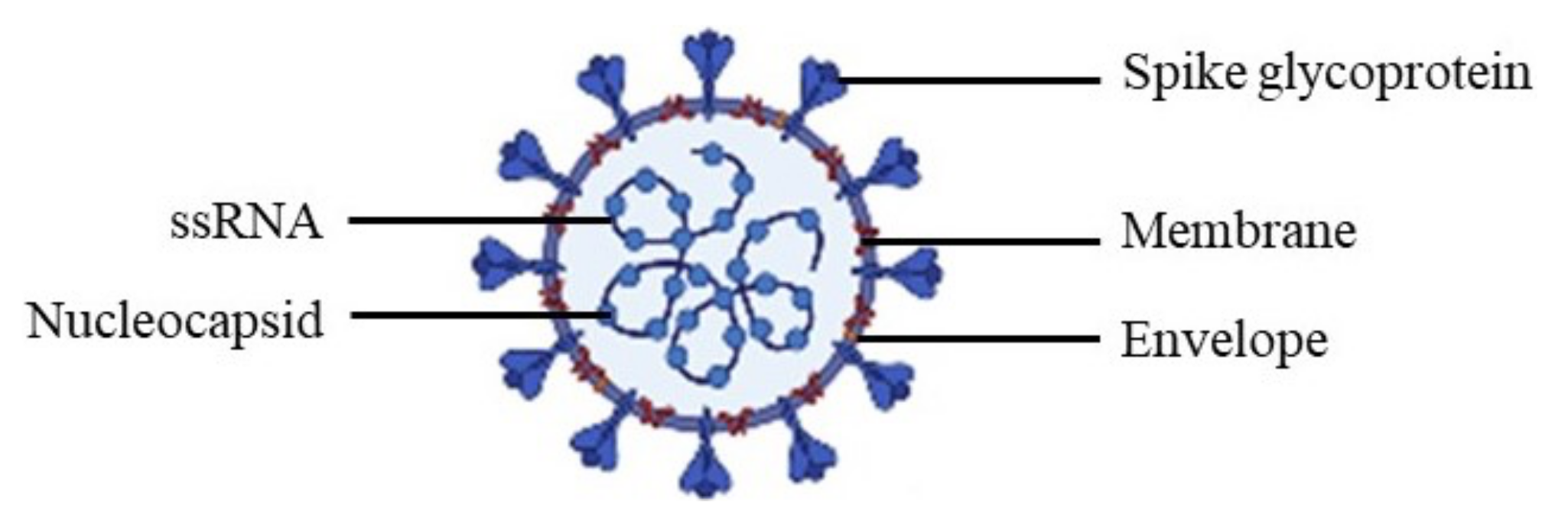 Pharmaceuticals 14 00546 g001 Pharmaceuticals 14 00546 g001