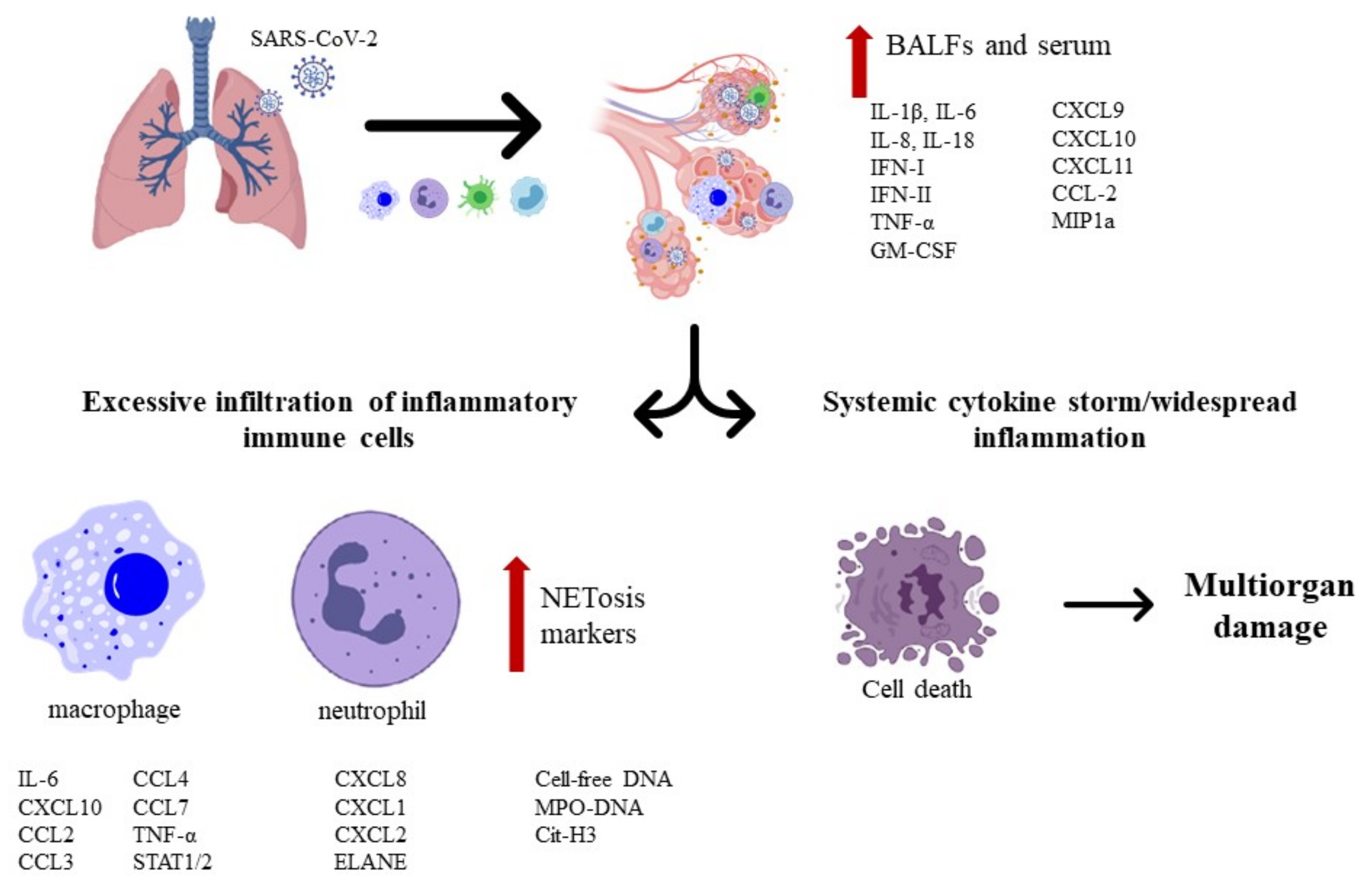 Pharmaceuticals 14 00546 g002 Pharmaceuticals 14 00546 g002