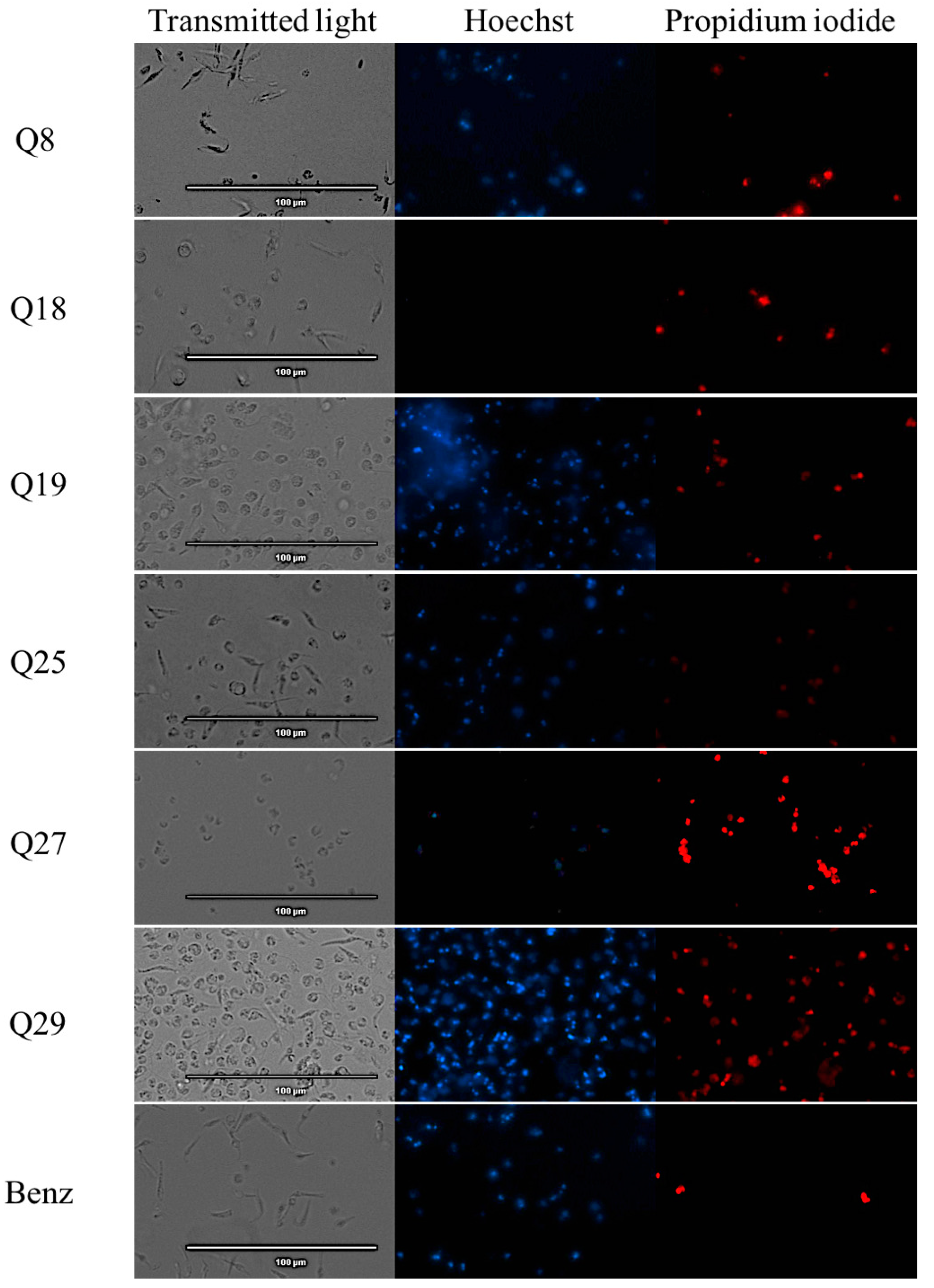 Pharmaceuticals Free Full Text Acrylonitrile Derivatives Against Trypanosoma Cruzi In Vitro Activity And Programmed Cell Death Study Html Pharmaceuticals Free Full Text Acrylonitrile Derivatives Against Trypanosoma Cruzi In Vitro Activity And Programmed Cell Death Study Html