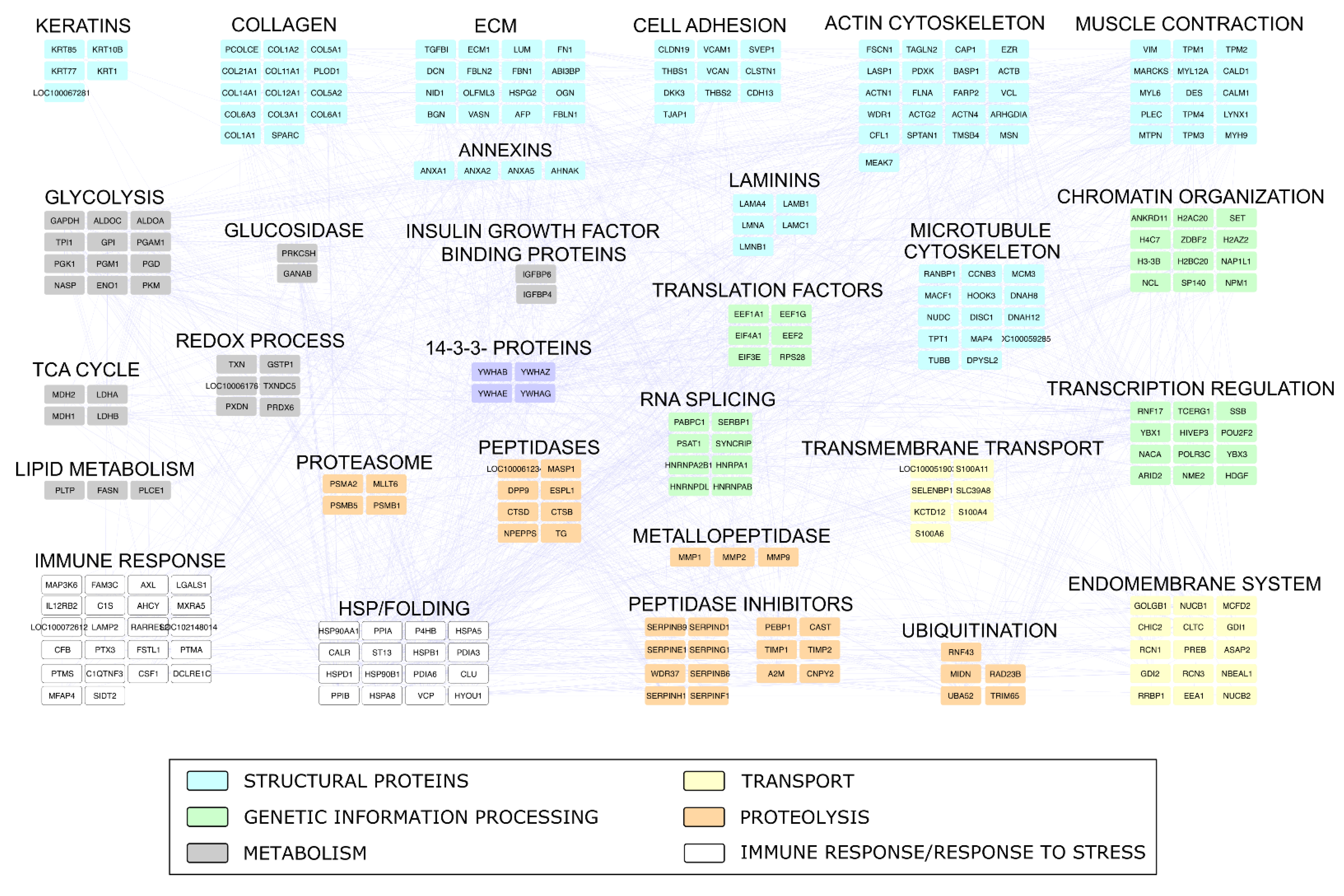 Pharmaceuticals 14 00553 g009 Pharmaceuticals 14 00553 g009