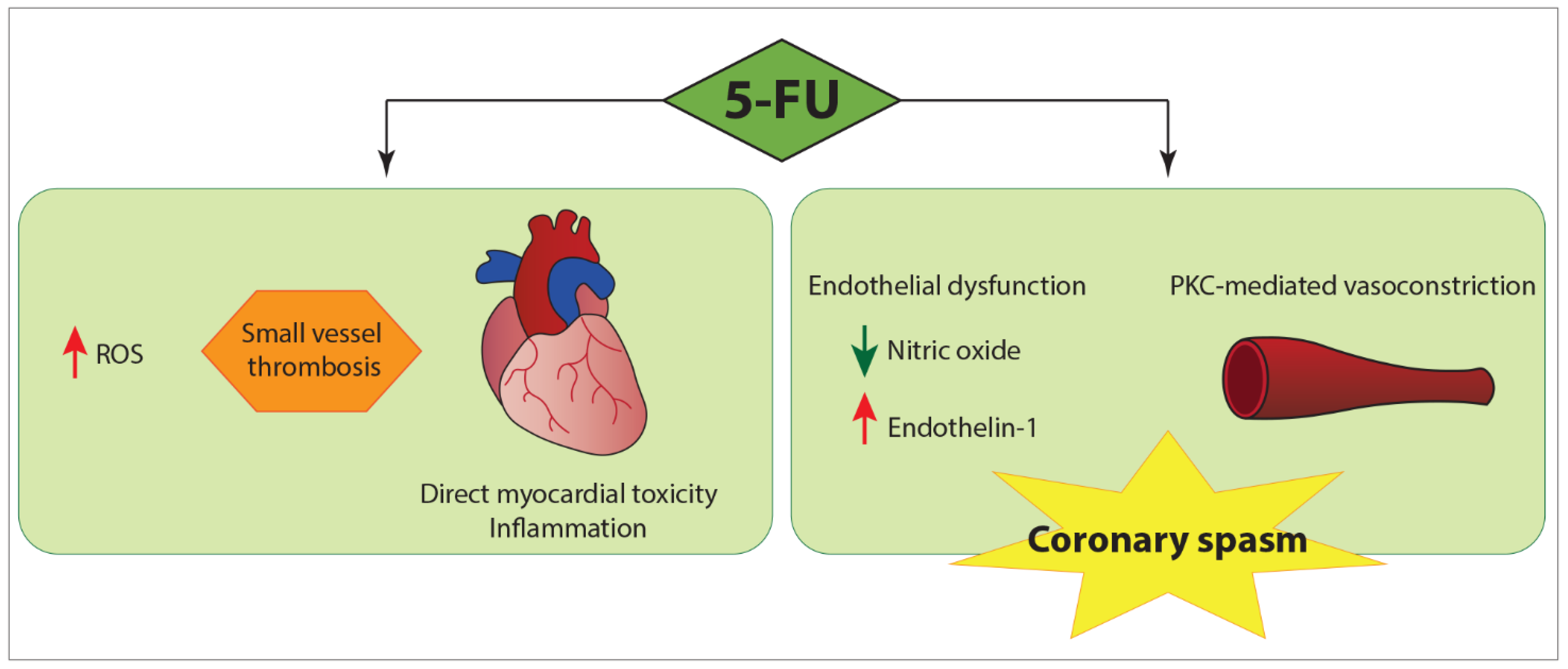 Pharmaceuticals 14 00563 g006 Pharmaceuticals 14 00563 g006