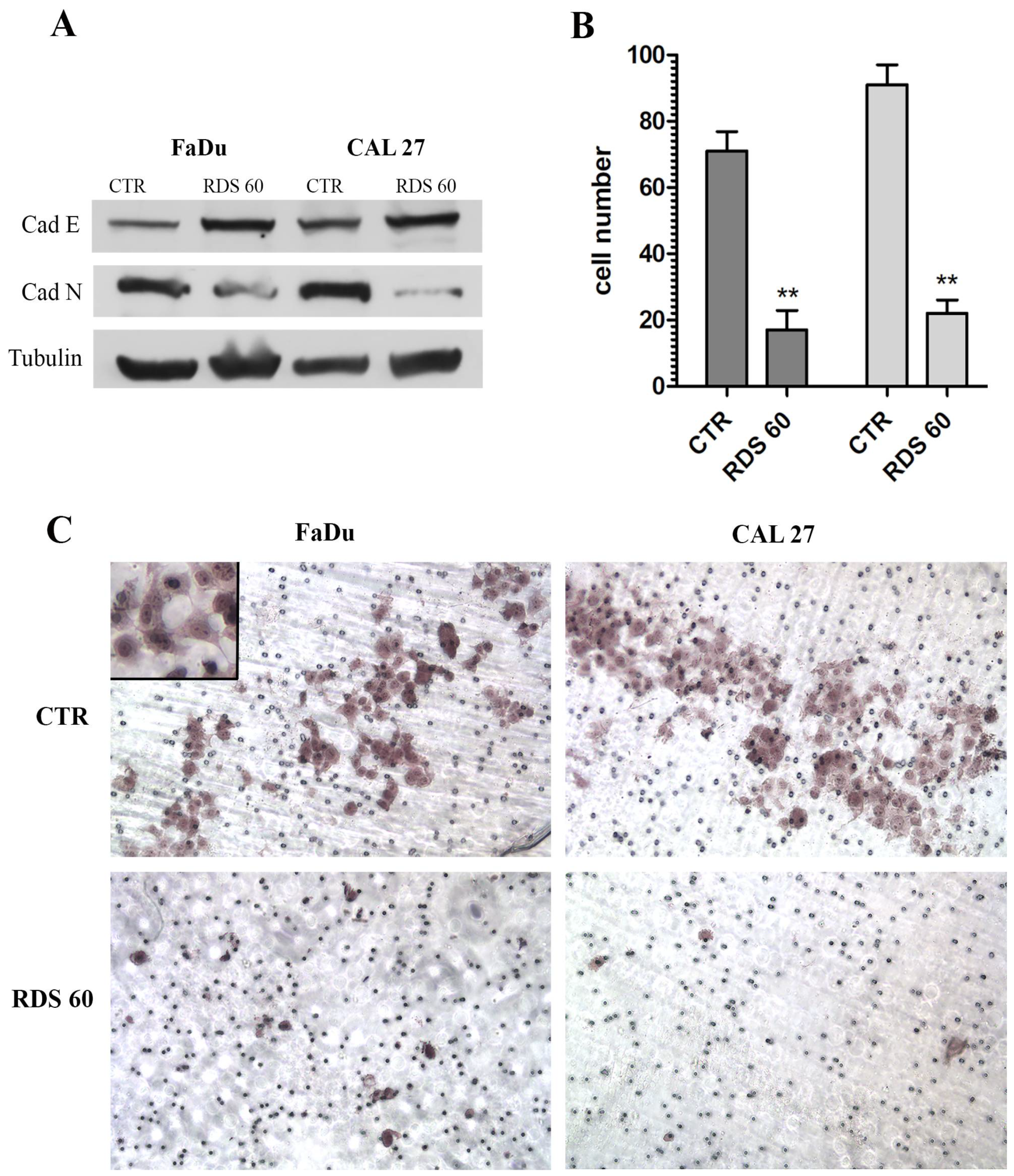Pharmaceuticals 14 00564 g005 Pharmaceuticals 14 00564 g005
