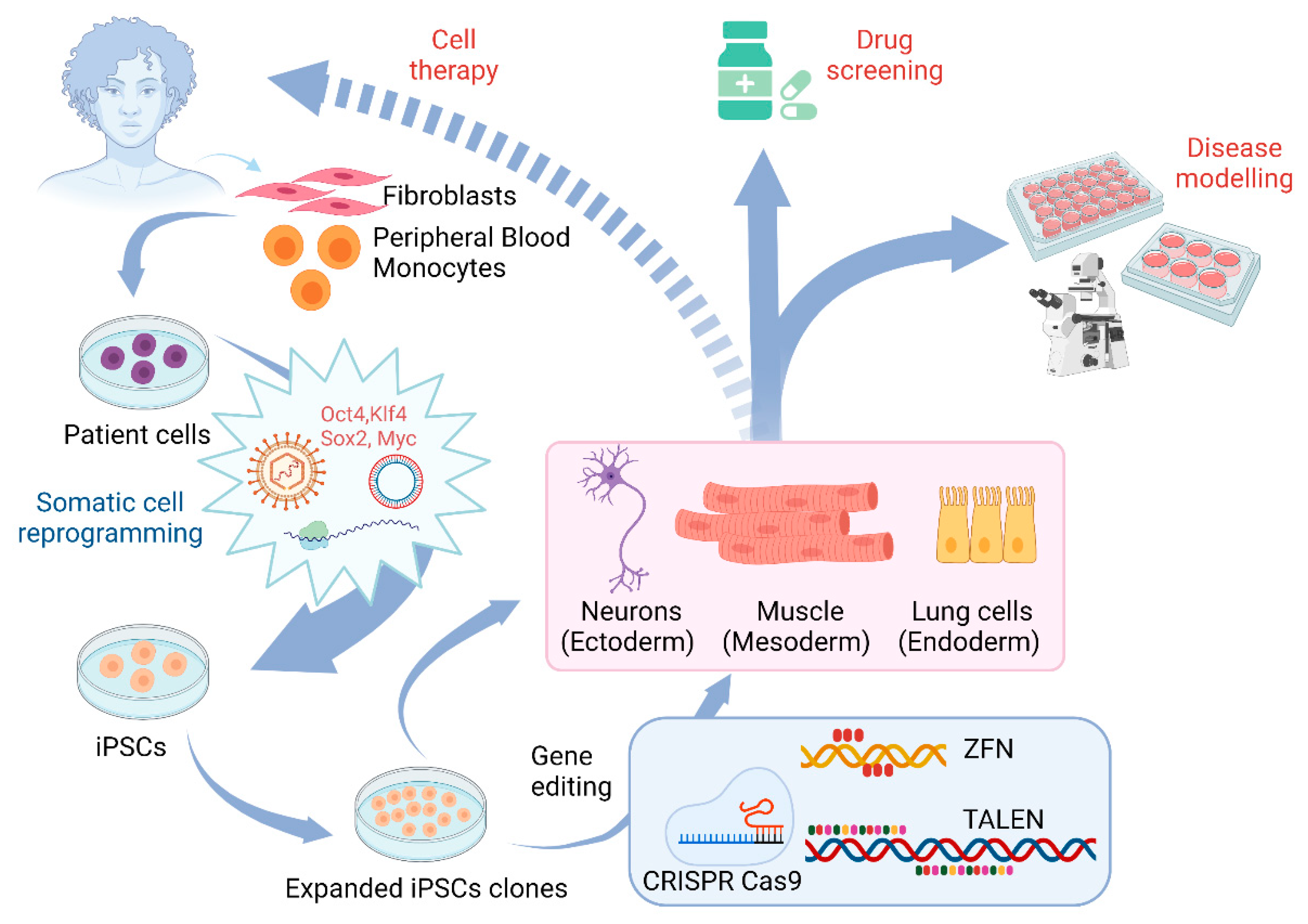 Pharmaceuticals 14 00565 g002 Pharmaceuticals 14 00565 g002
