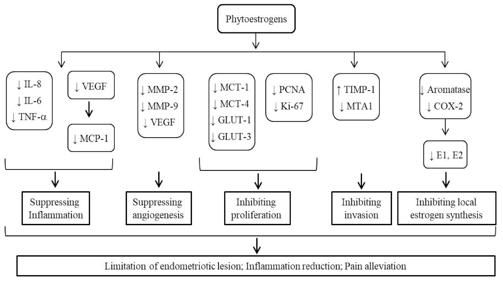 Pharmaceuticals 14 00569 g002