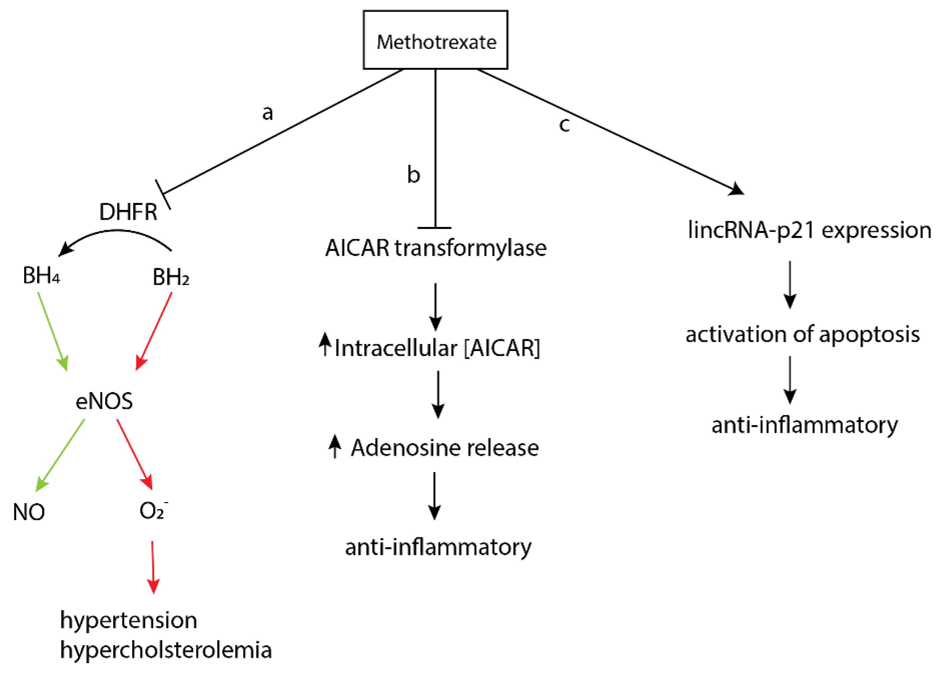 Pharmaceuticals 14 00573 g003 Pharmaceuticals 14 00573 g003