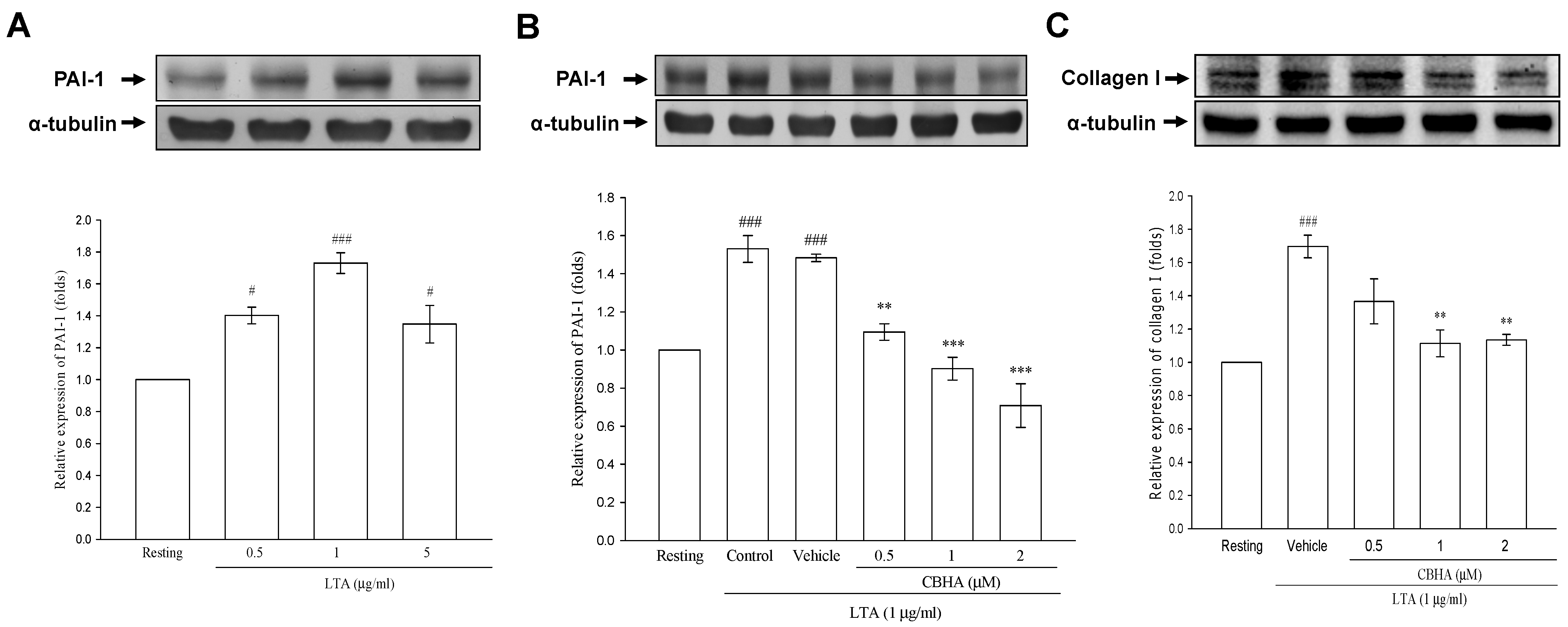 Pharmaceuticals 14 00585 g002 Pharmaceuticals 14 00585 g002