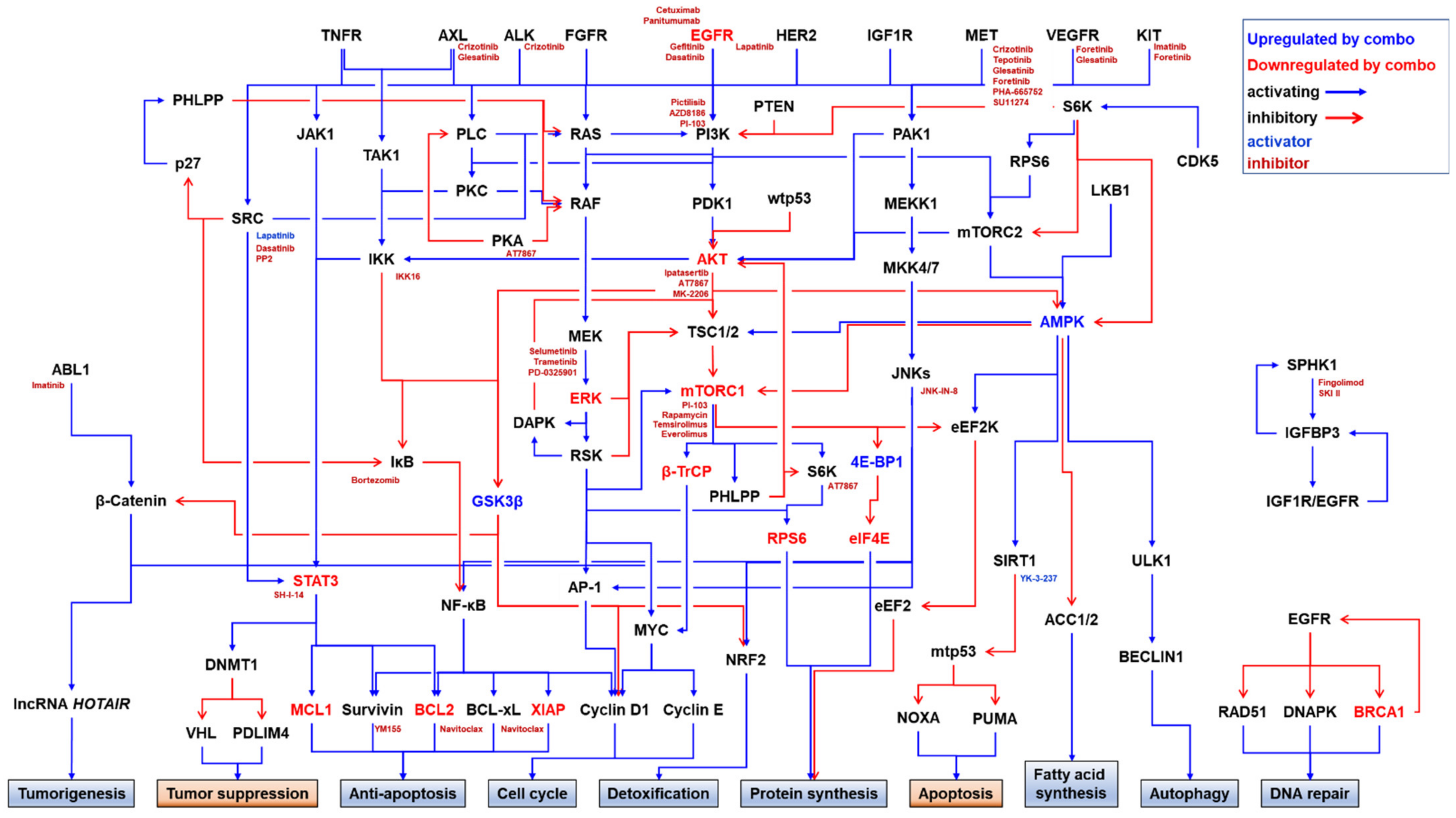 Pharmaceuticals 14 00589 g002 Pharmaceuticals 14 00589 g002