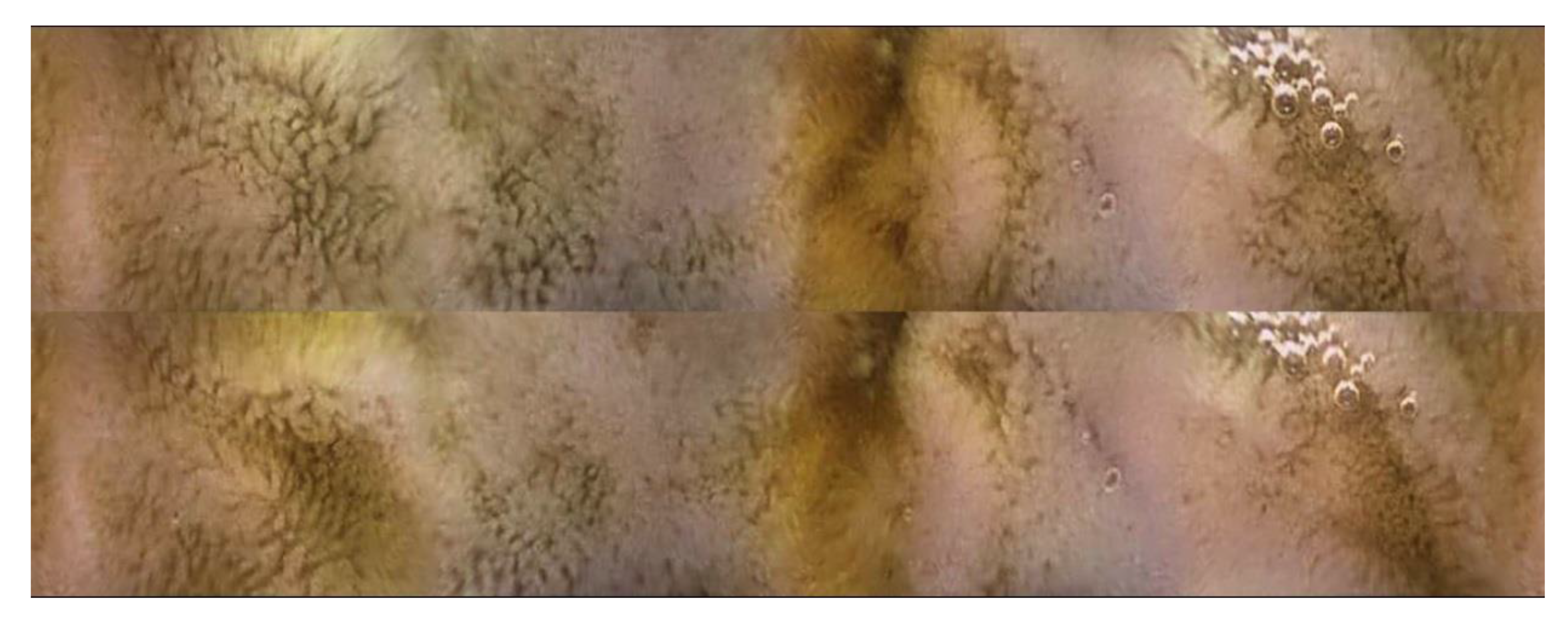 Pharmaceuticals 14 00590 g005 Pharmaceuticals 14 00590 g005