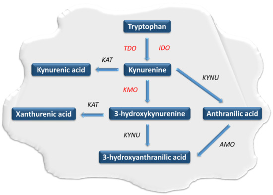 Pharmaceuticals Free Full Text Kynurenines As A Novel Target For The Treatment Of Malignancies Html