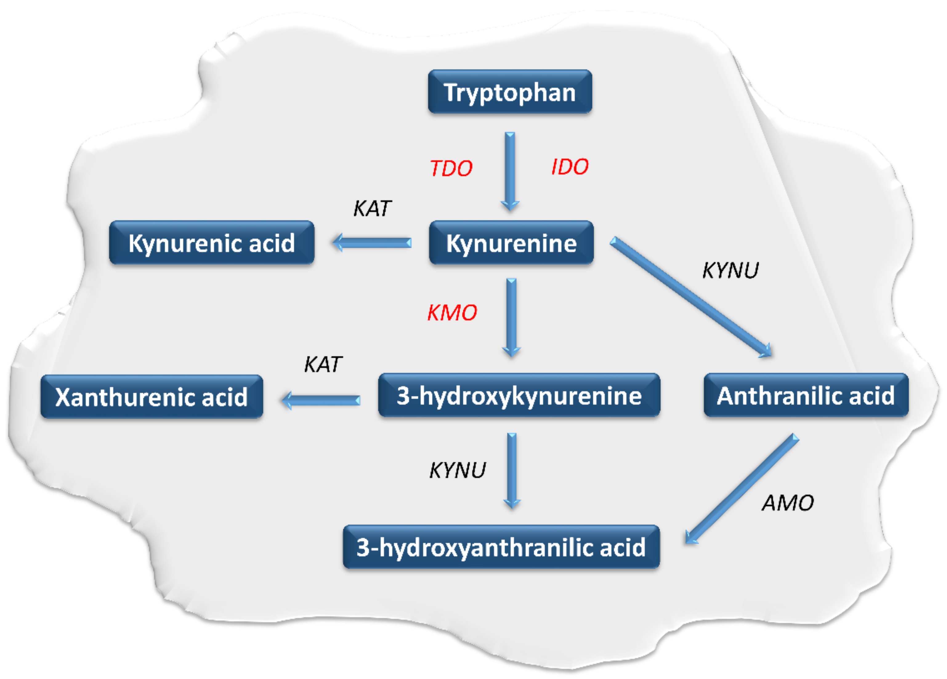 Pharmaceuticals 14 00606 g001 Pharmaceuticals 14 00606 g001