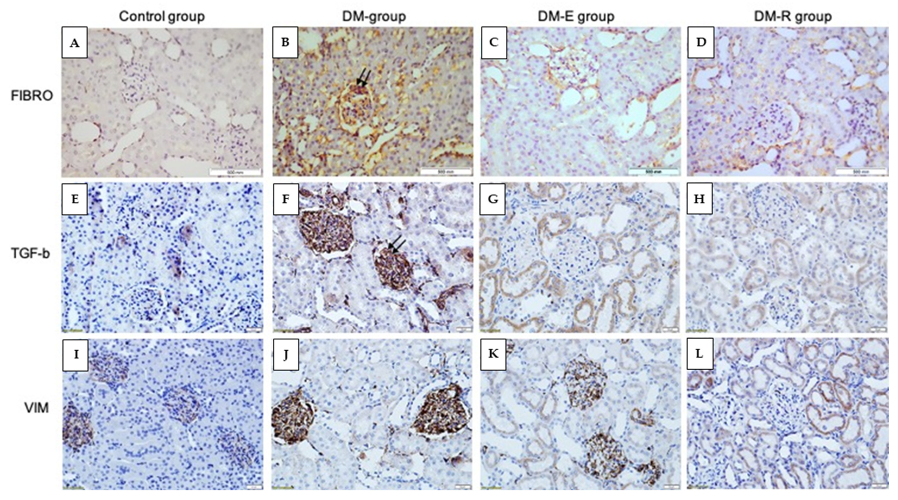 Pharmaceuticals 14 00608 g006 550