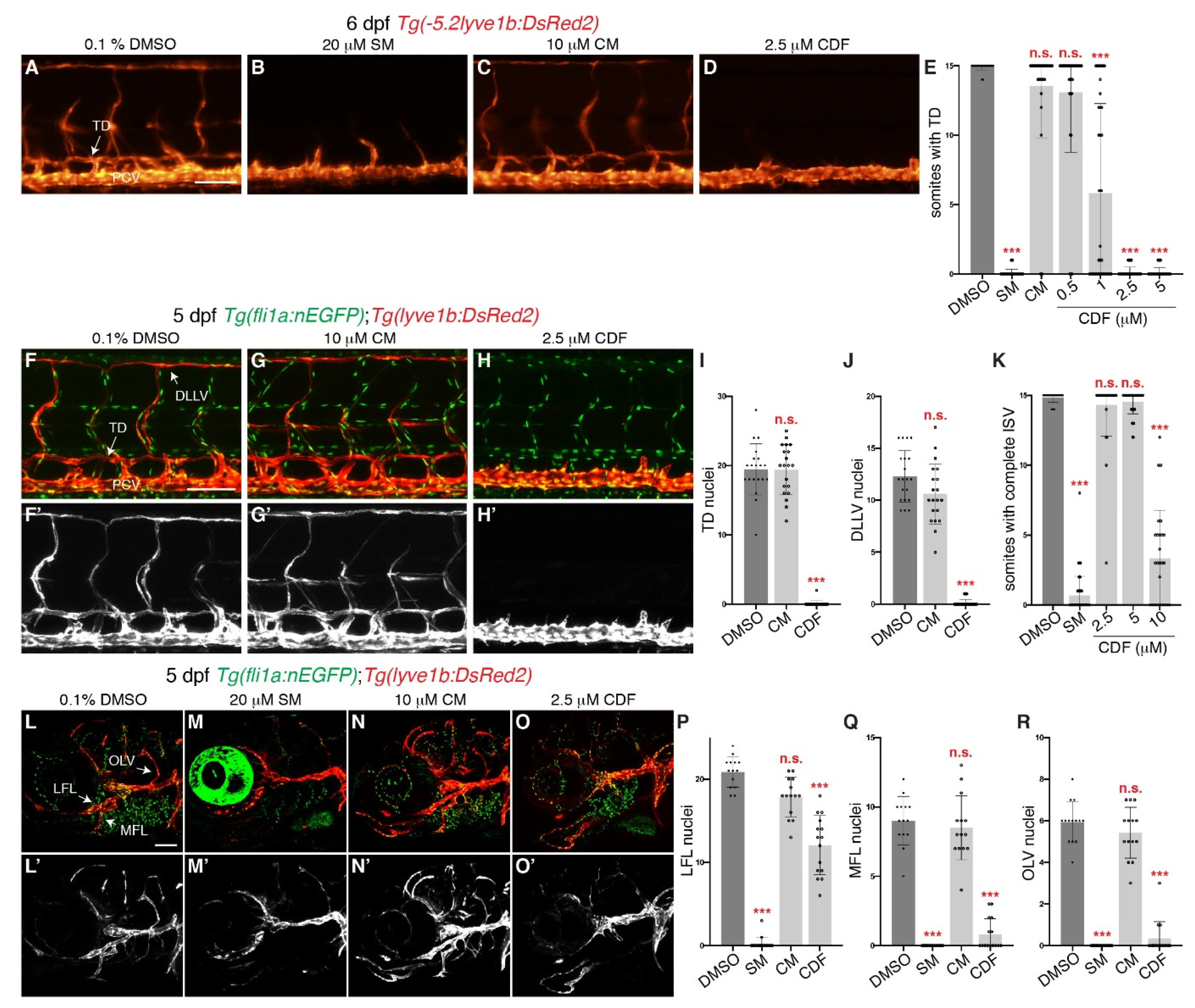 Pharmaceuticals 14 00614 g001