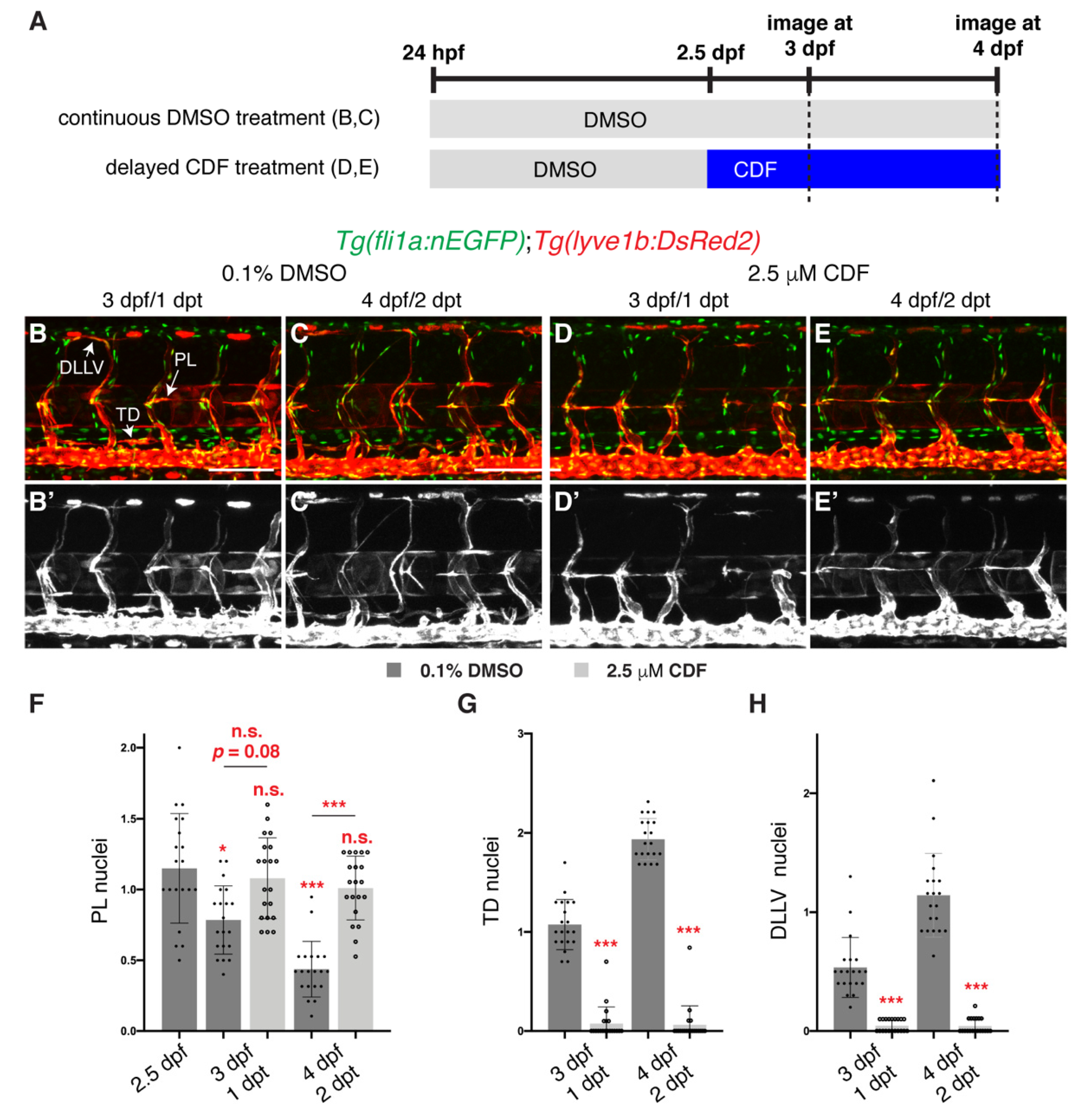 Pharmaceuticals 14 00614 g002
