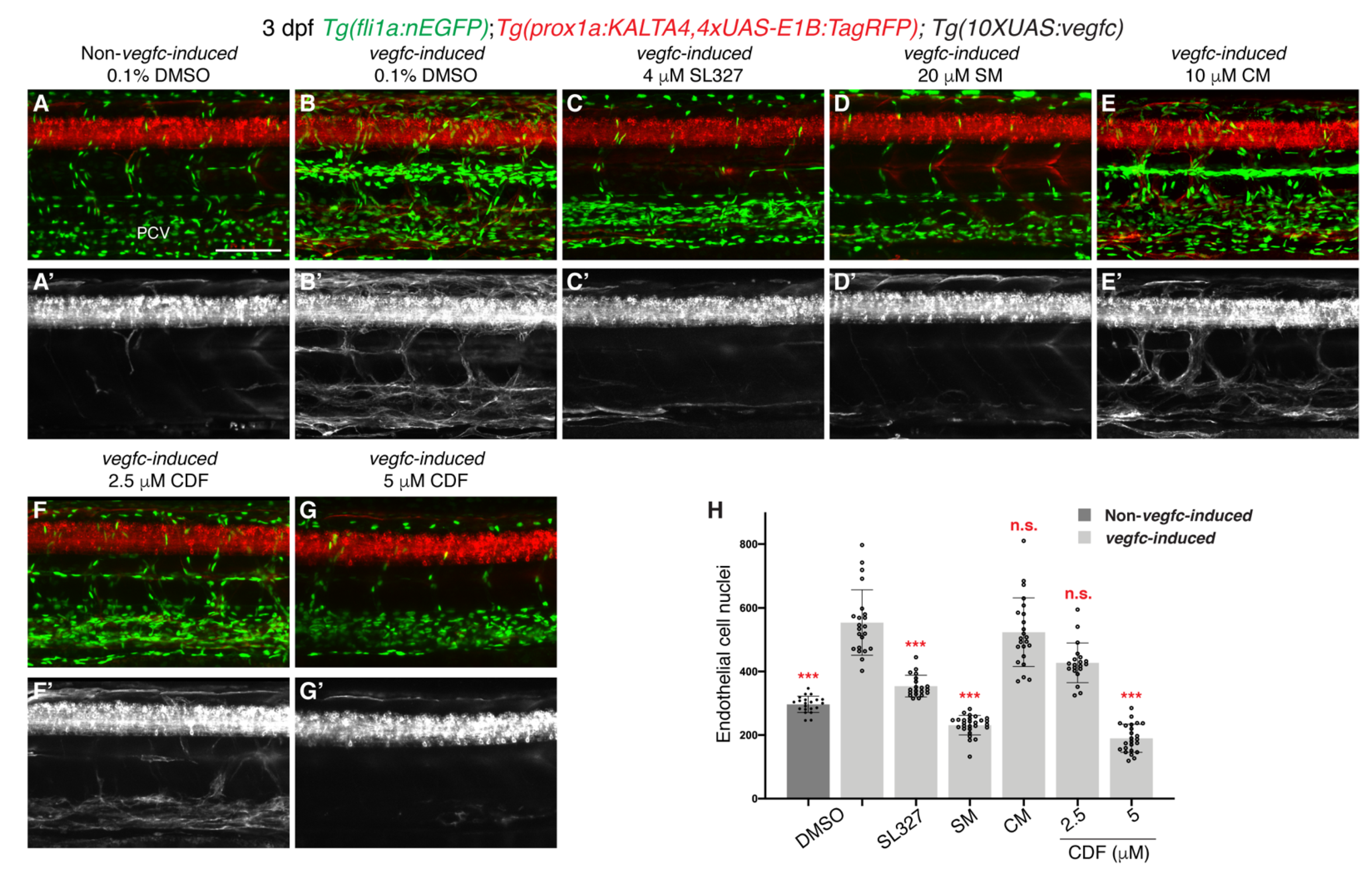 Pharmaceuticals 14 00614 g004