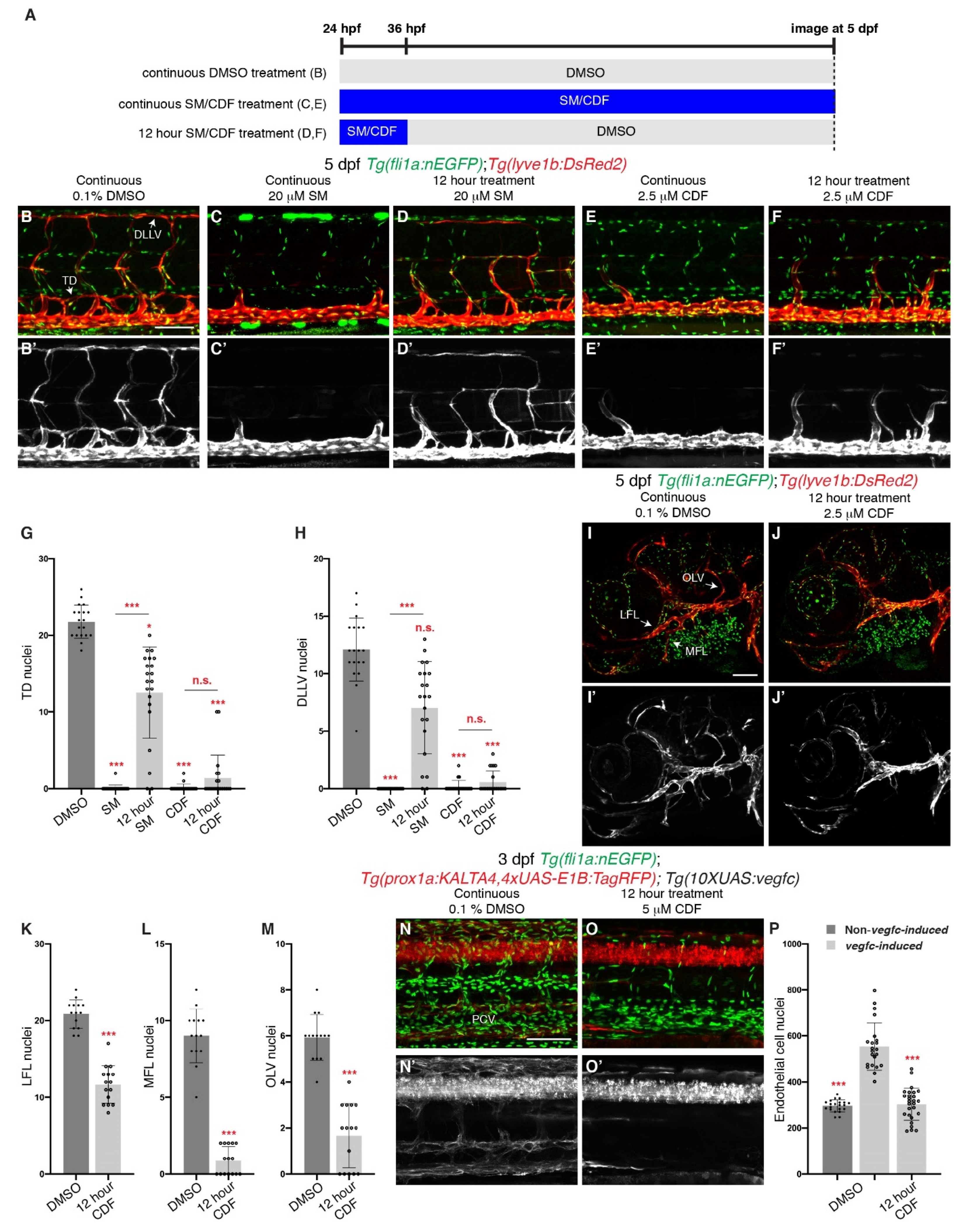 Pharmaceuticals 14 00614 g005