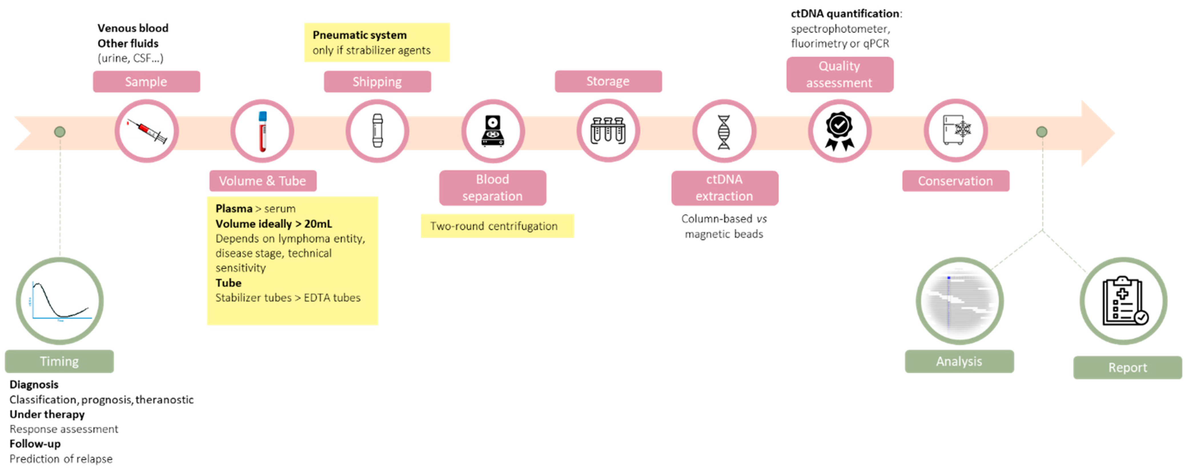 Pharmaceuticals 14 00617 g001